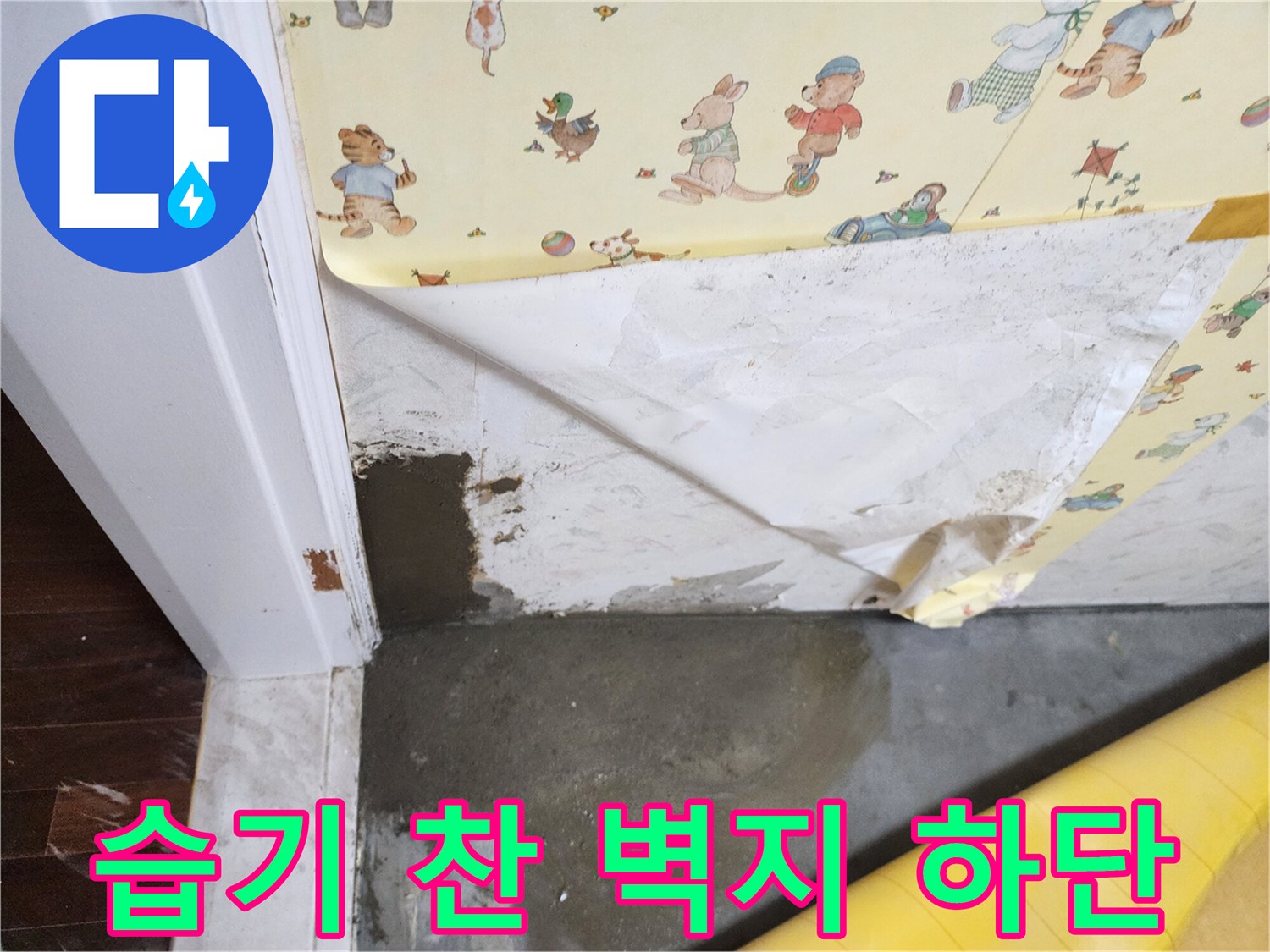 축축하게-젖은-문틀-주변-벽지