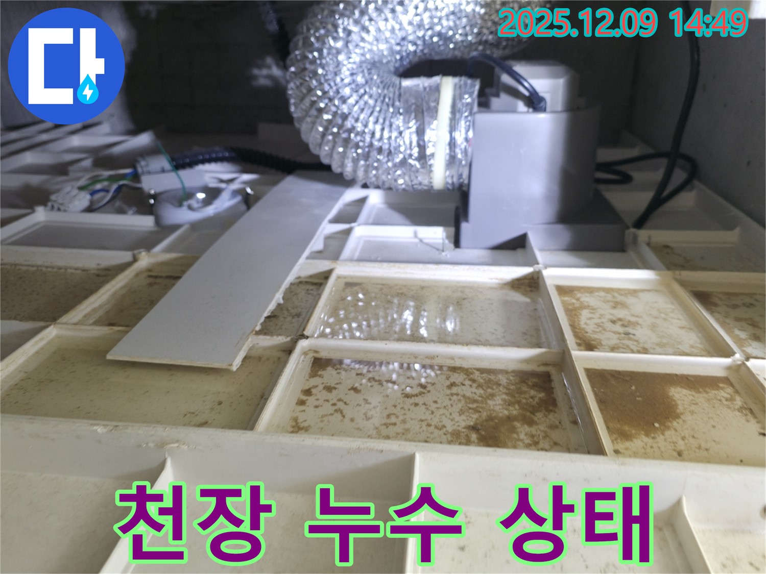 천장 누수 상태 - 신속한 조치가 필요