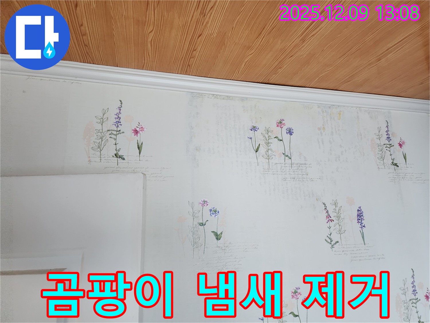 곰팡이 냄새 - 제거 및 방지 - 전문 시공
