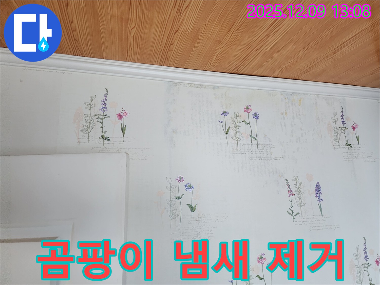 곰팡이 냄새 - 제거 및 방지 - 전문 시공