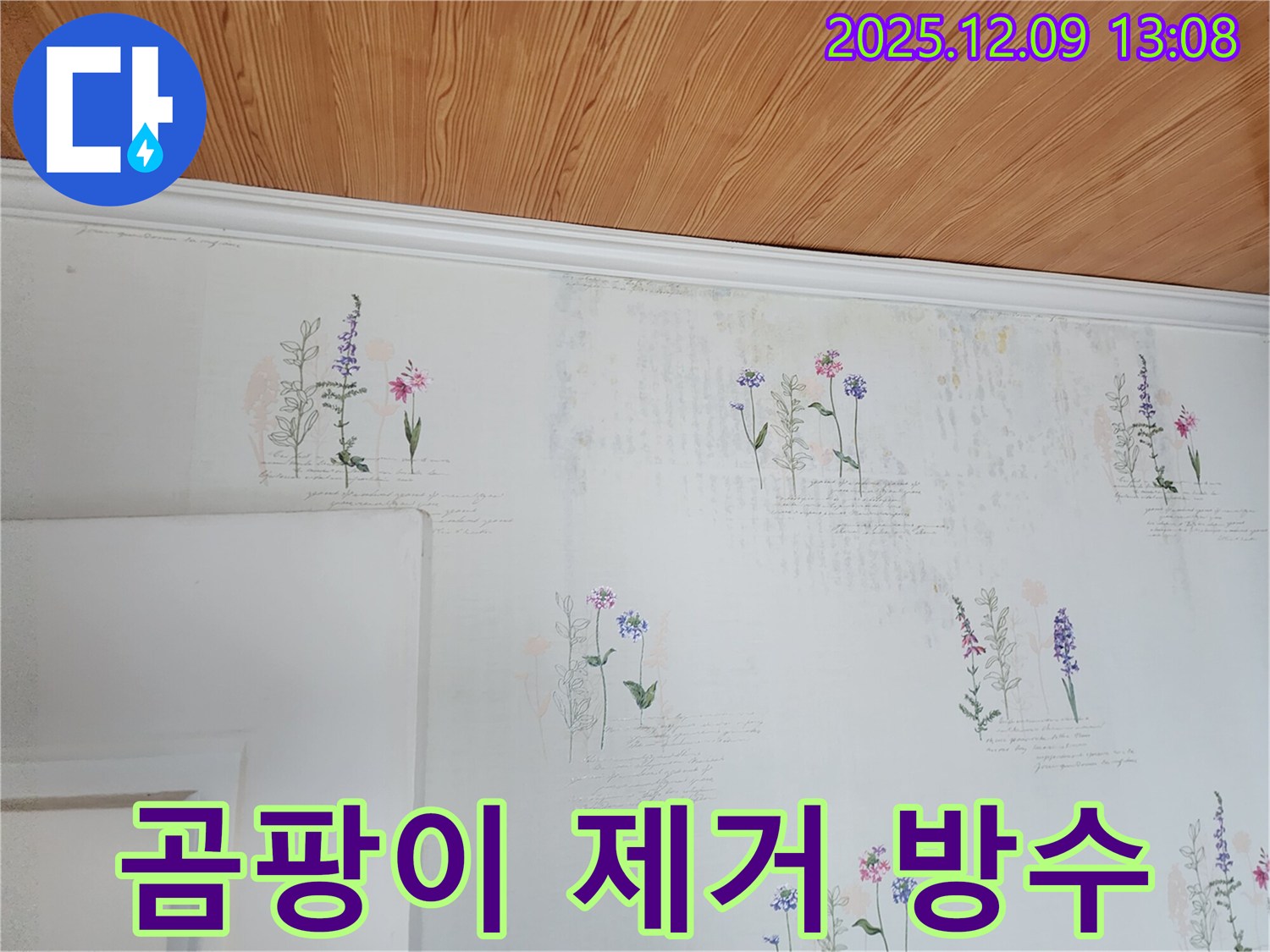 곰팡이 제거 - 완벽 방수 - 재발 방지