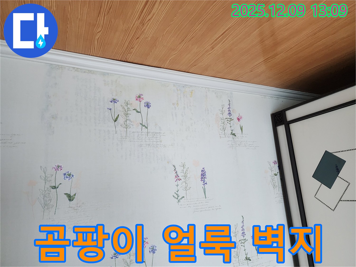 곰팡이와 얼룩으로 뒤덮인 벽지 - 누수의 명백한 증거입니다.