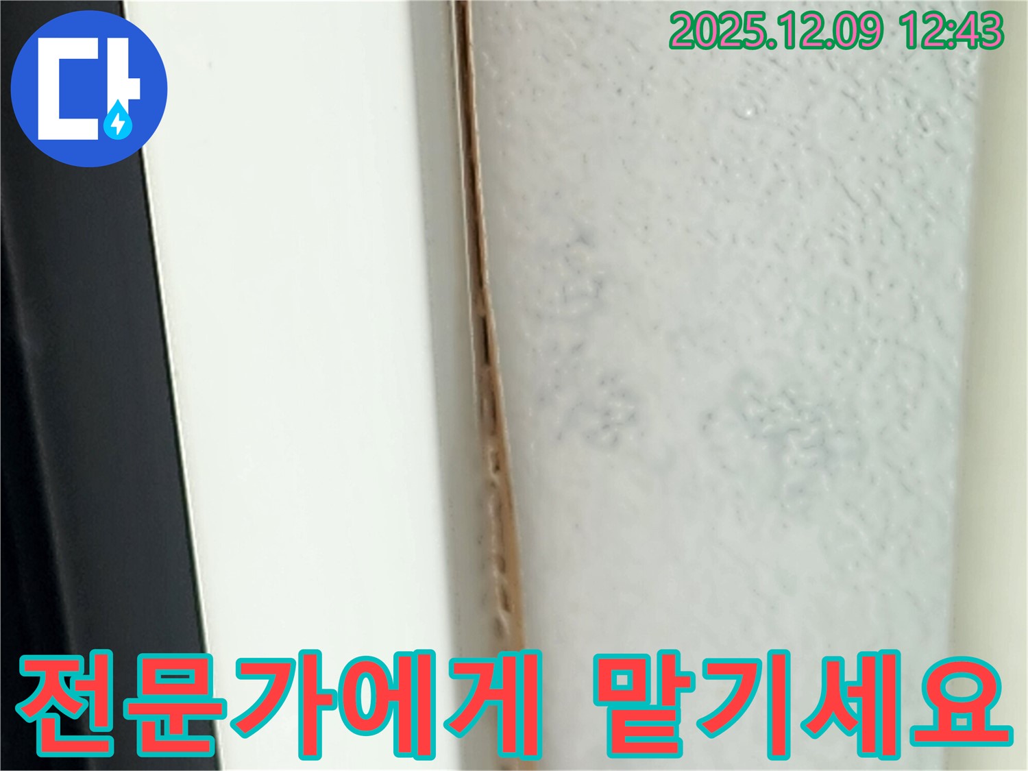 누수 - 늦기 전에 전문가에게 맡겨 정확하게 해결하세요.