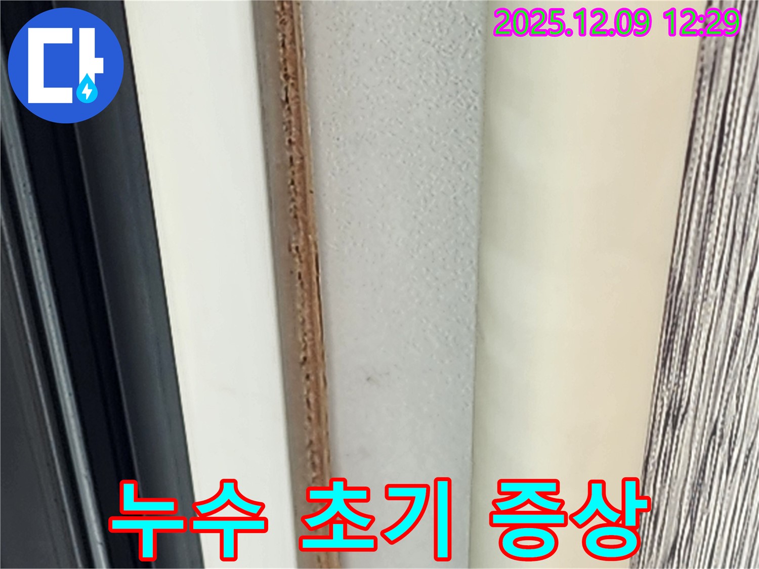 문틀 곰팡이 - 누수의 초기 증상일 수 있습니다.