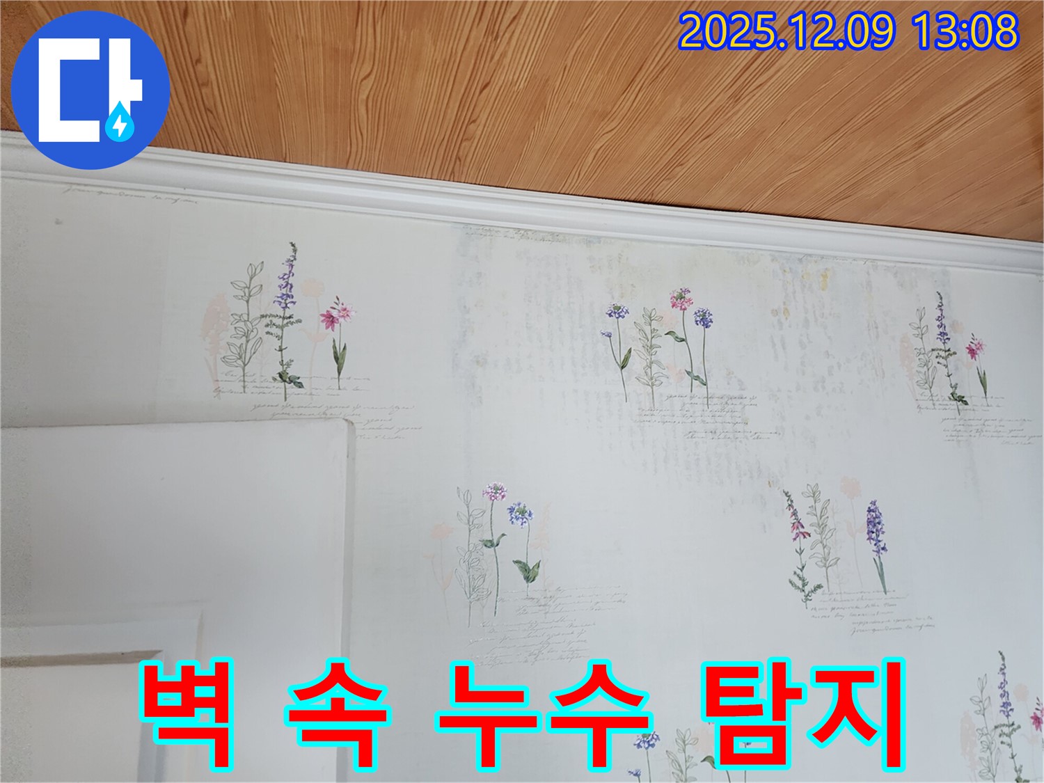 벽 속 누수 - 정밀 탐지 - 첨단 장비 사용