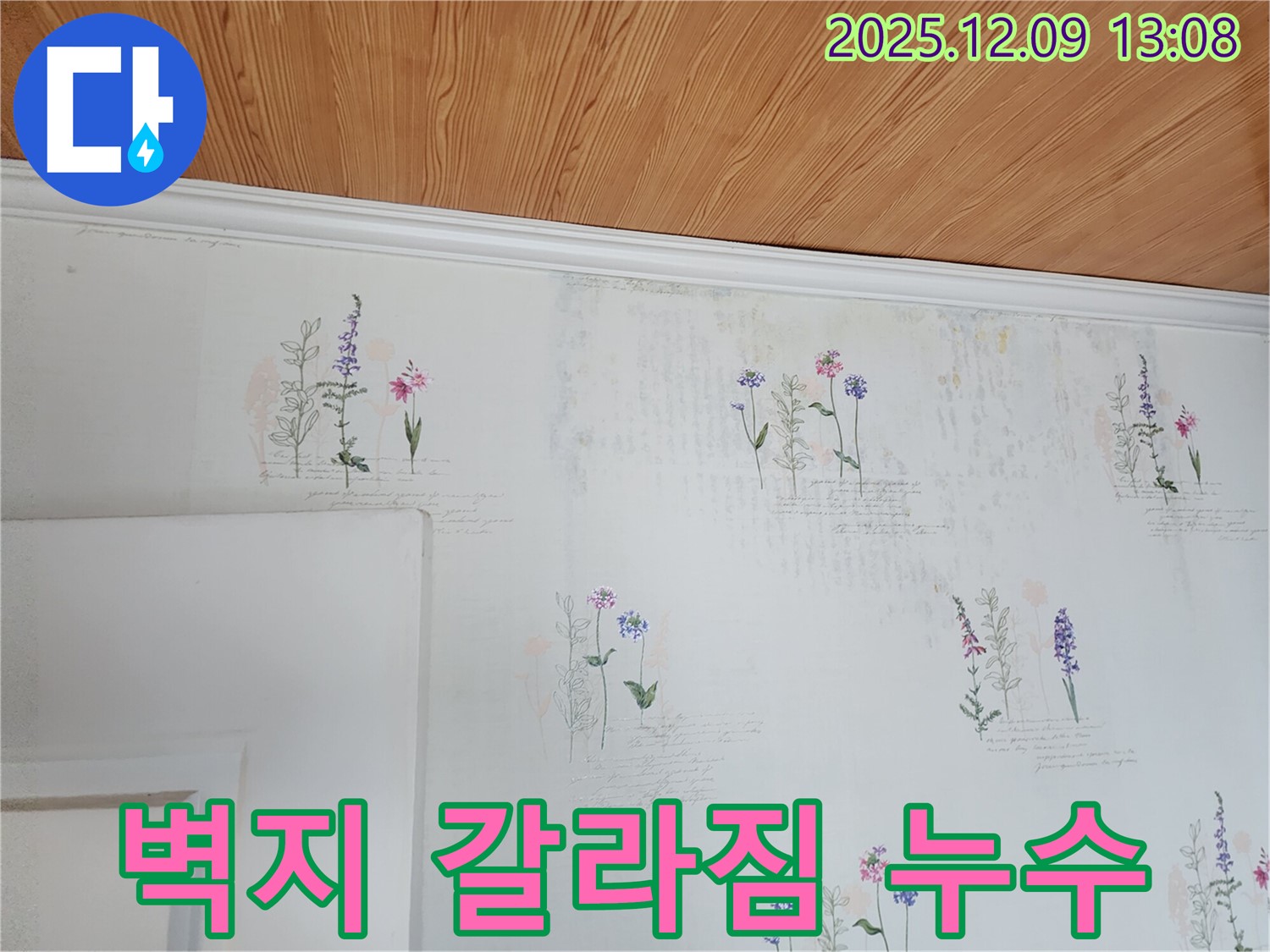 벽지 갈라짐 - 누수 가능성 - 정밀 점검