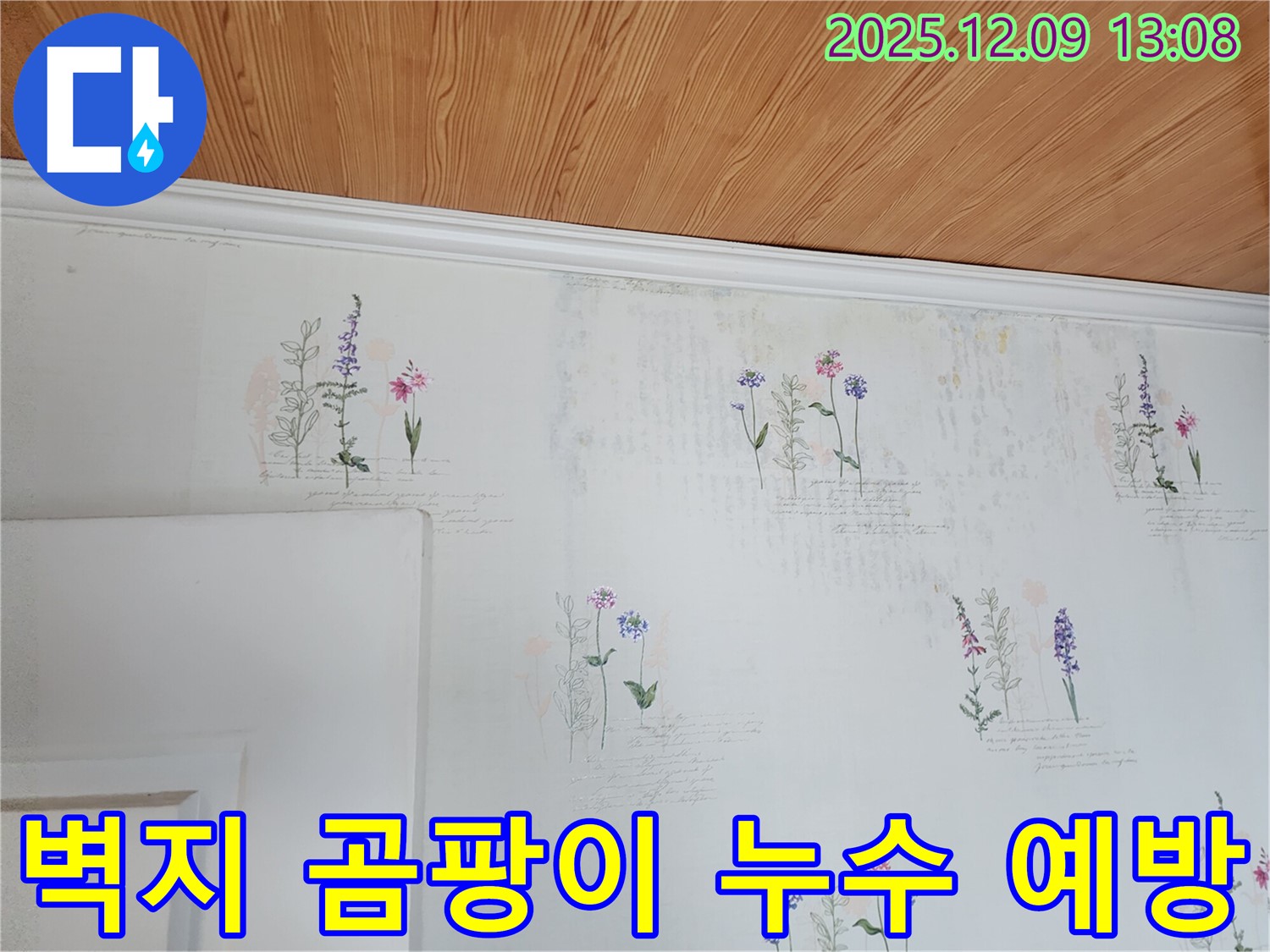 벽지 곰팡이 - 누수 예방 - 쾌적한 환경