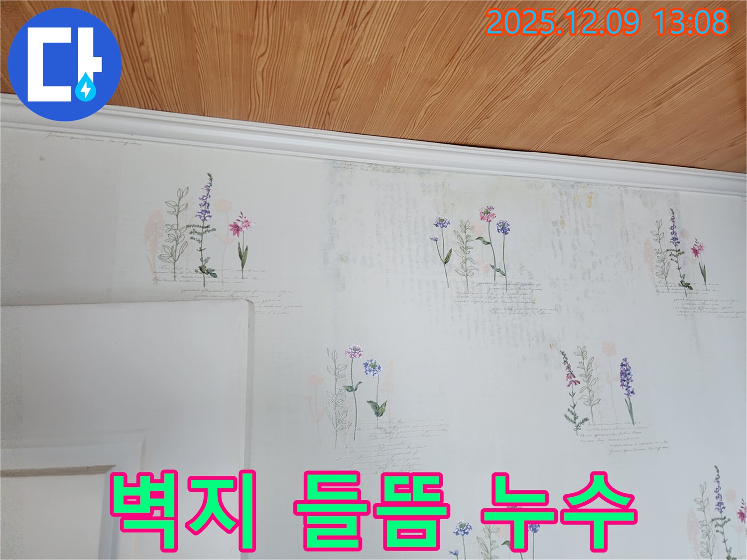 벽지 들뜸 - 숨겨진 누수 - 정밀 탐지