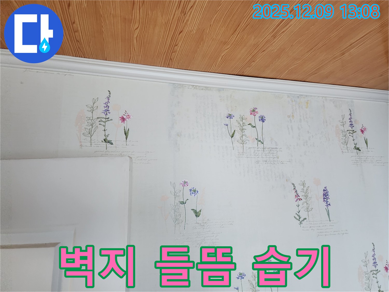벽지 들뜸 - 습기 문제 - 완벽 해결