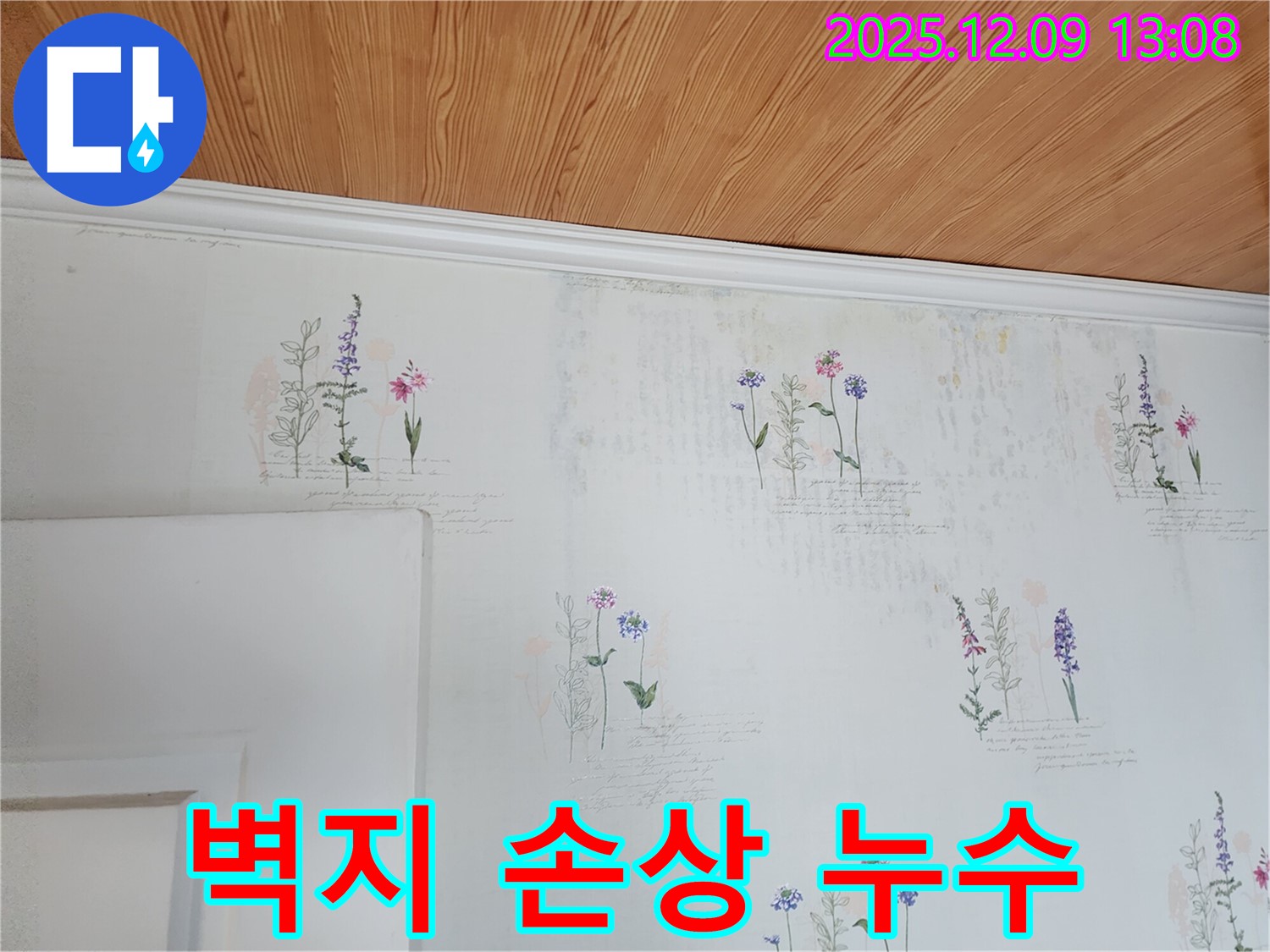 벽지 손상 - 숨겨진 누수 - 정밀 탐지