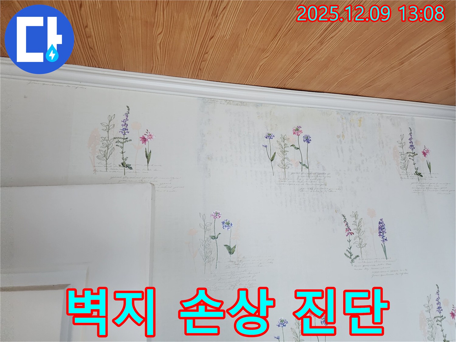 벽지 손상 - 정밀 진단 - 누수 보수
