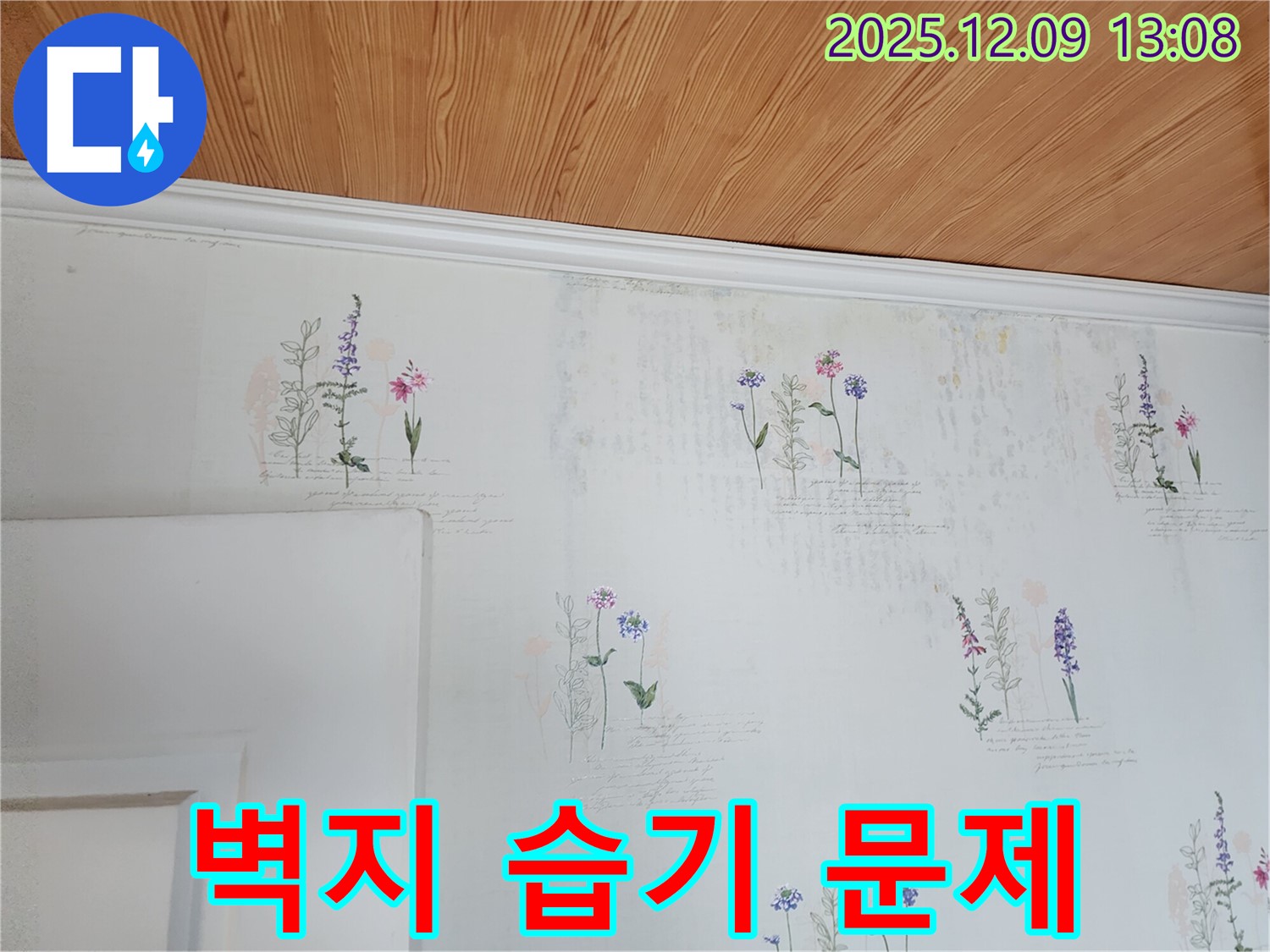 벽지 습기 - 문제 해결 - 전문
