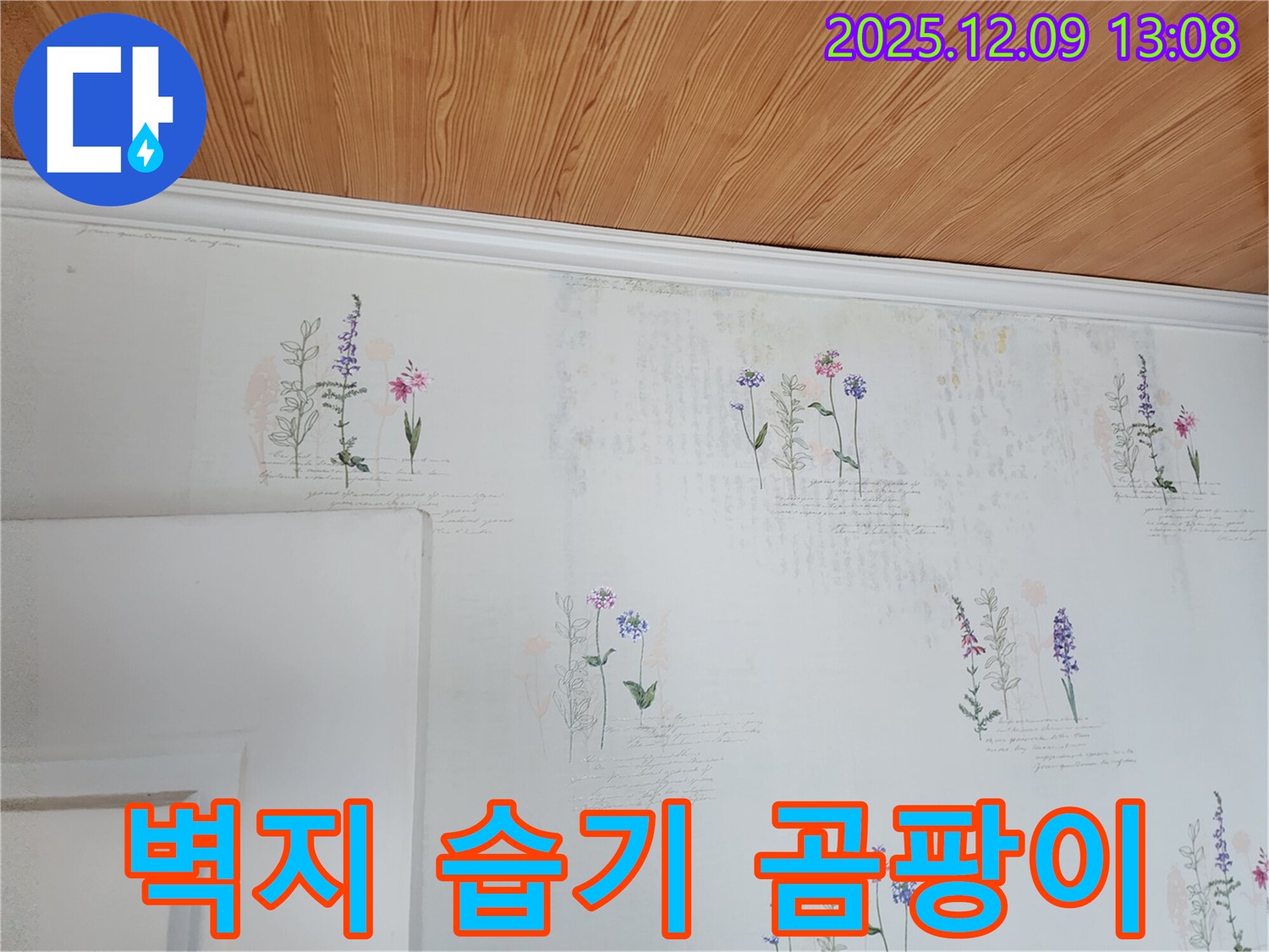 벽지 습기 제거 - 곰팡이 예방 - 완벽 시공