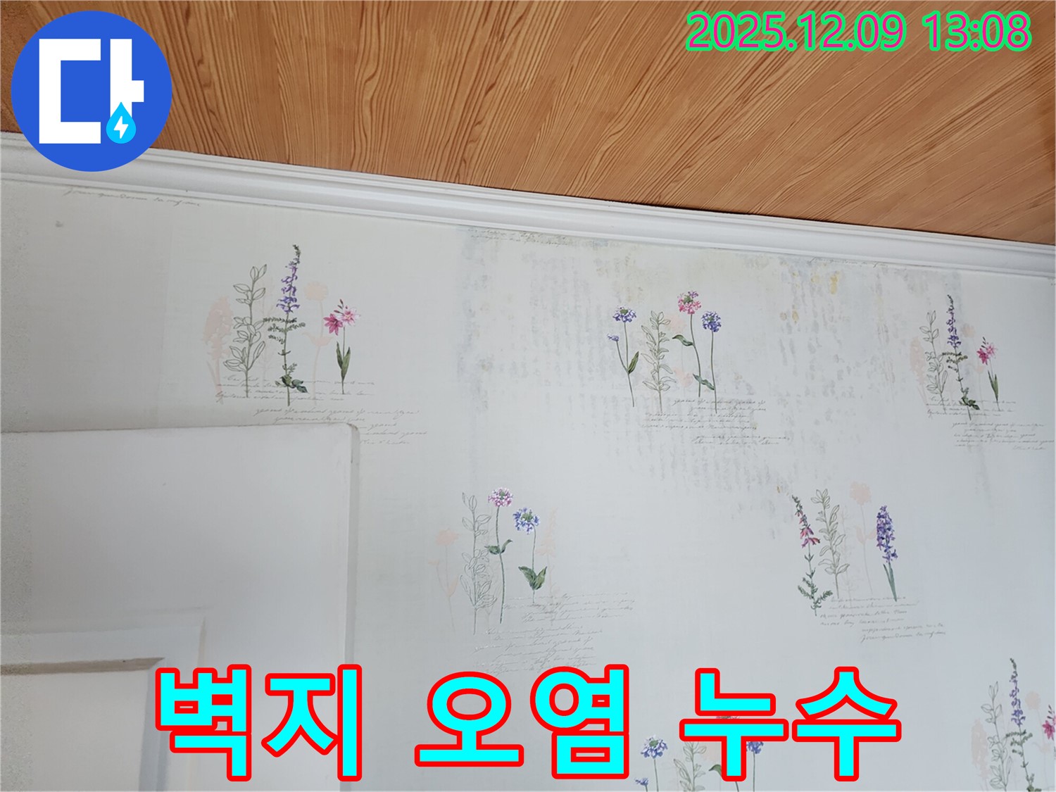 벽지 오염 - 누수 예방 - 최소화