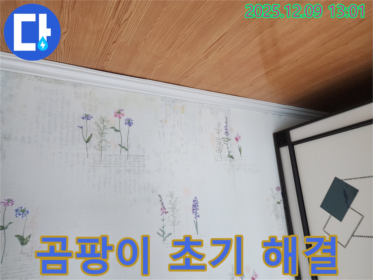성동리 누수 현장 - 곰팡이 초기 단계 발견 및 해결