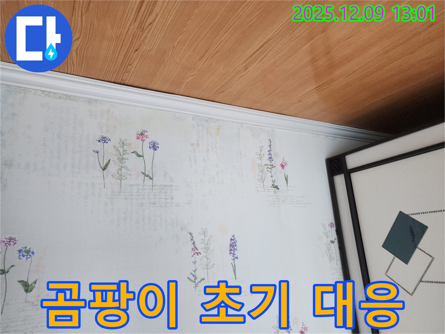성동리 누수 현장 - 곰팡이 초기 단계 발견 및 해결