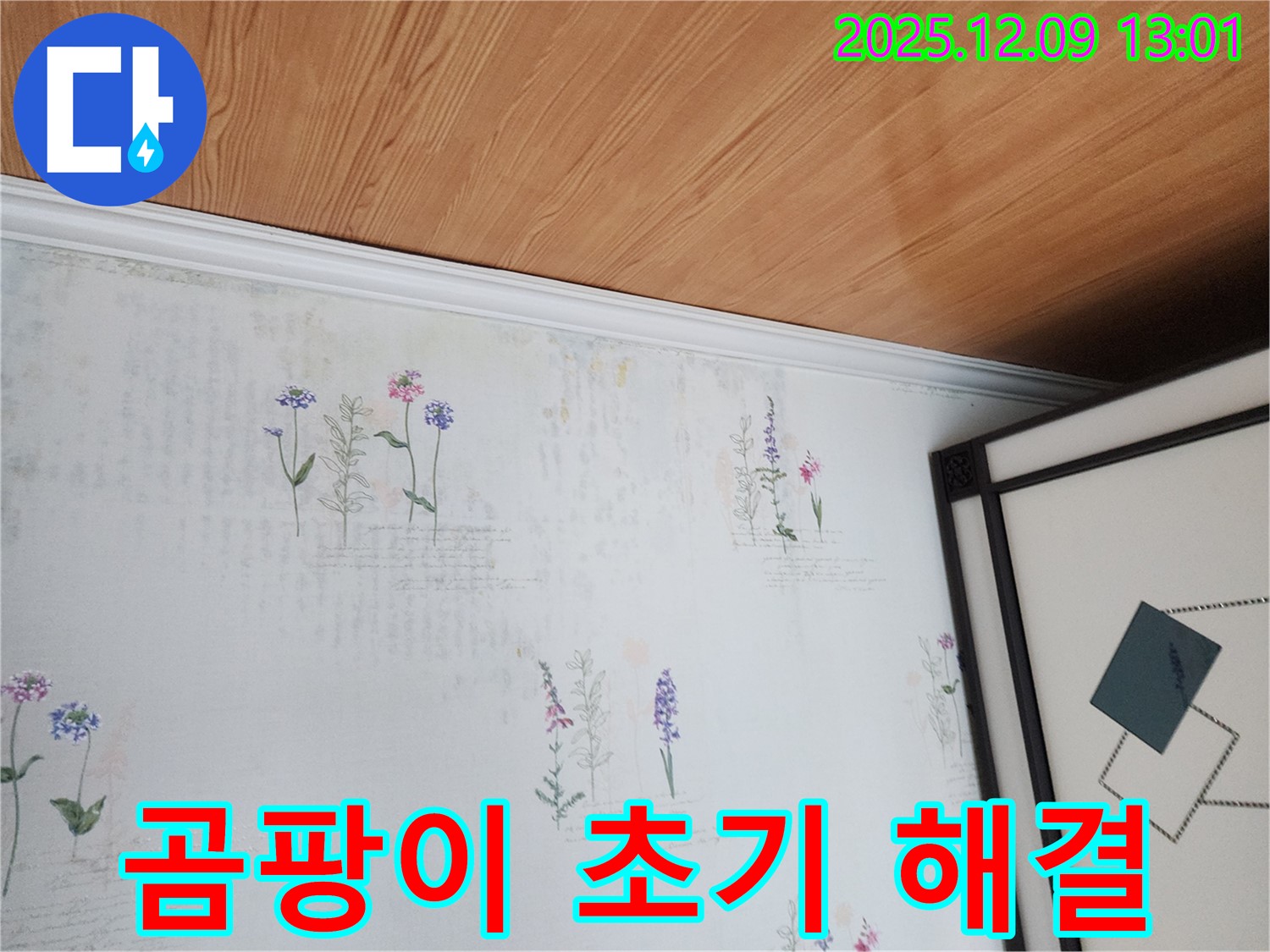 성동리 누수 현장 - 곰팡이 초기 단계 발견 및 해결 과정