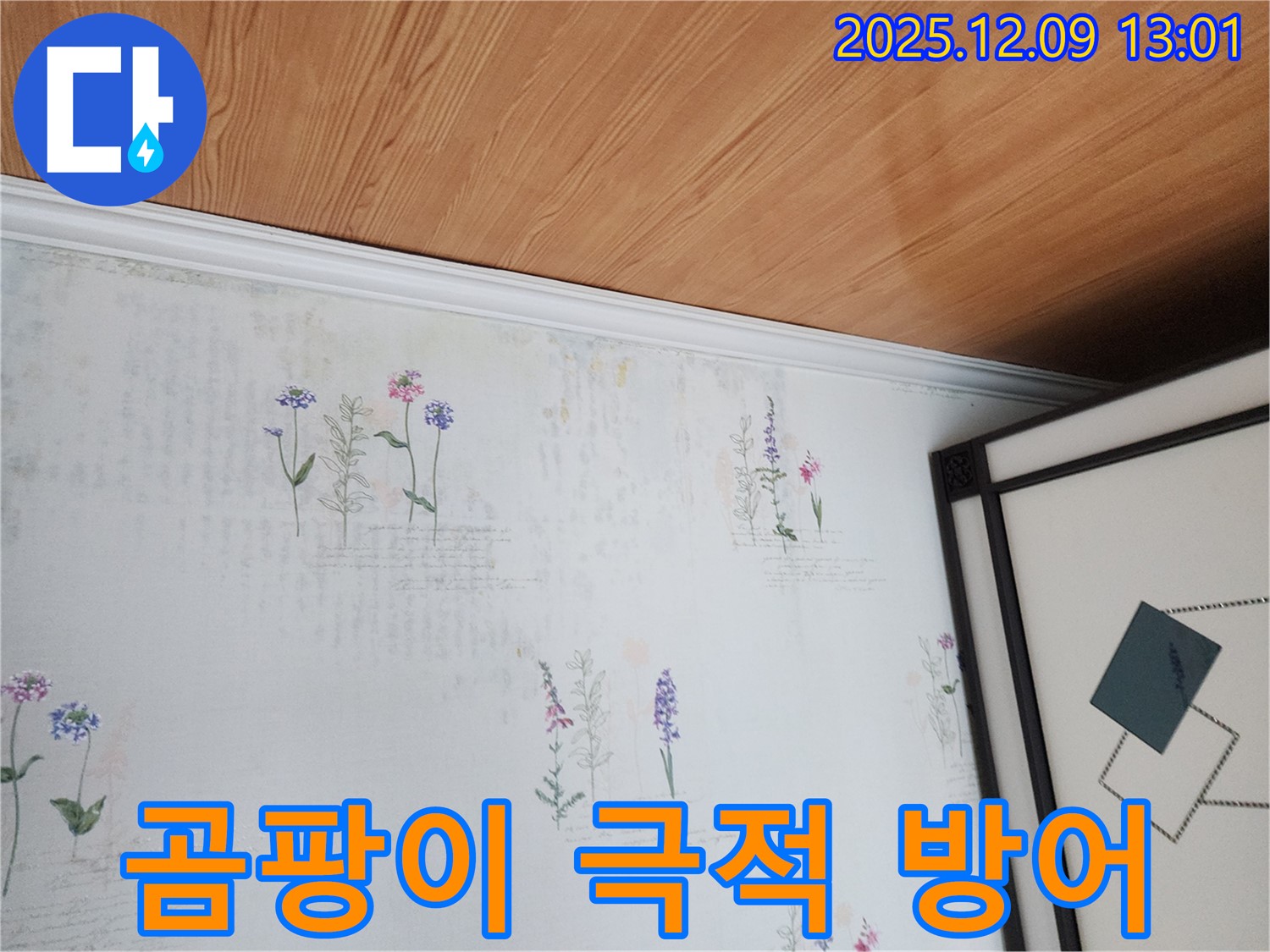 성동리 누수 현장 - 곰팡이 테러 1초 전 극적 방어 성공