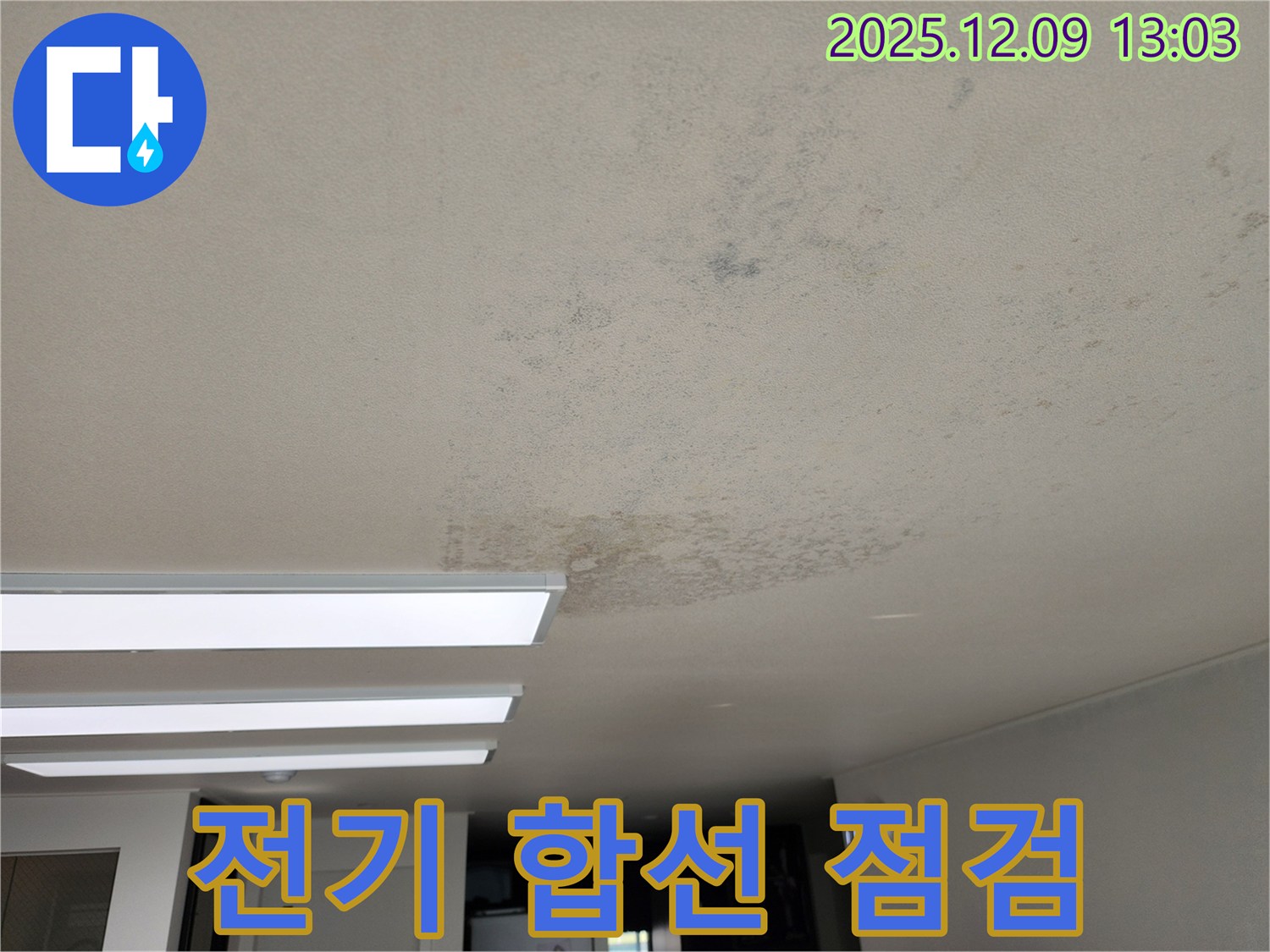 성동리 - 천장 누수 전기 합선 위험 긴급 안전 점검