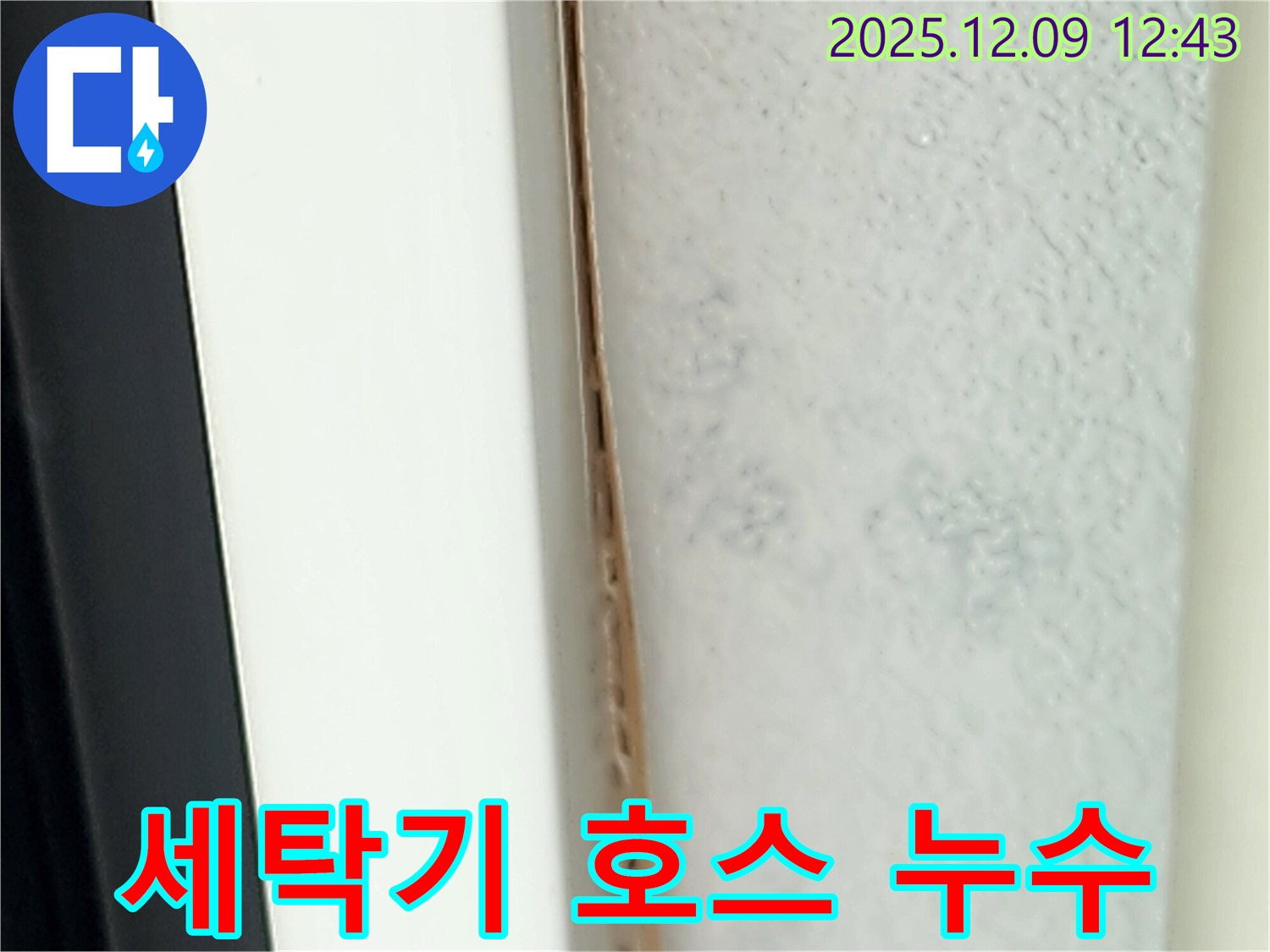 세탁기 호스 누수 - 연결 부위 조임 상태를 확인하세요.