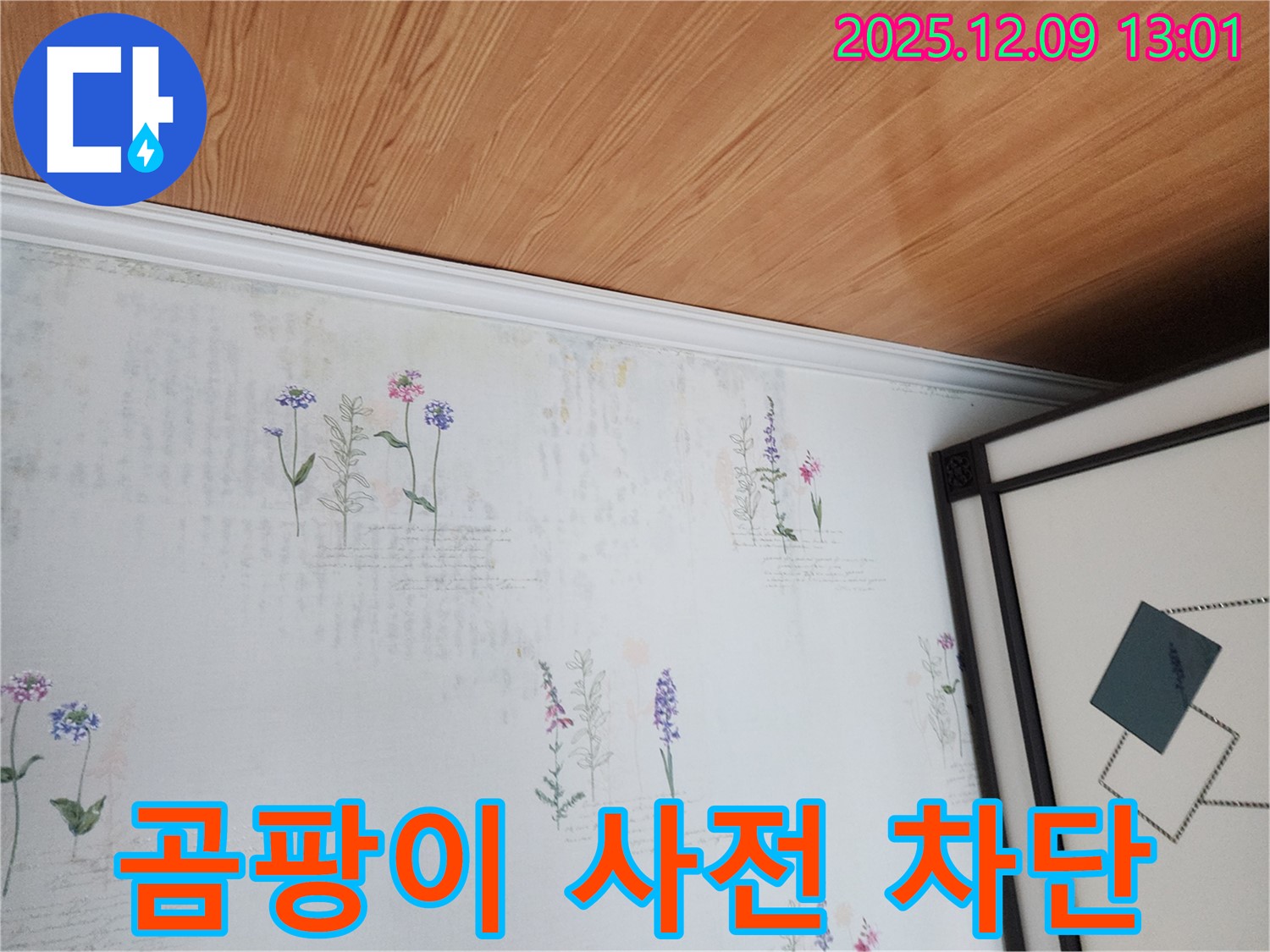 영중면 성동리 누수 현장 - 곰팡이 번지기 전 누수 완벽 차단