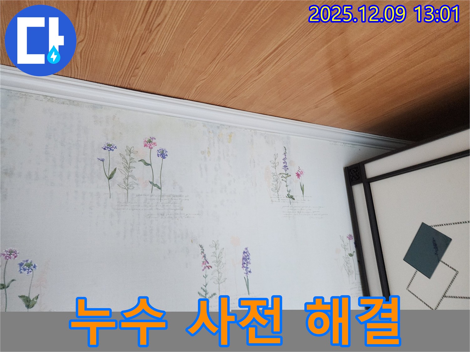 영중면 성동리 누수 현장 - 곰팡이 사전 진단 및 완벽 해결