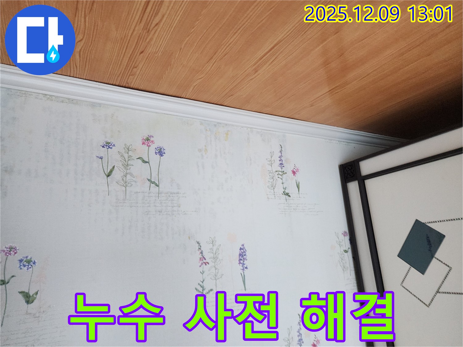 영중면 성동리 누수 현장 - 곰팡이 사전 진단 및 완벽 해결
