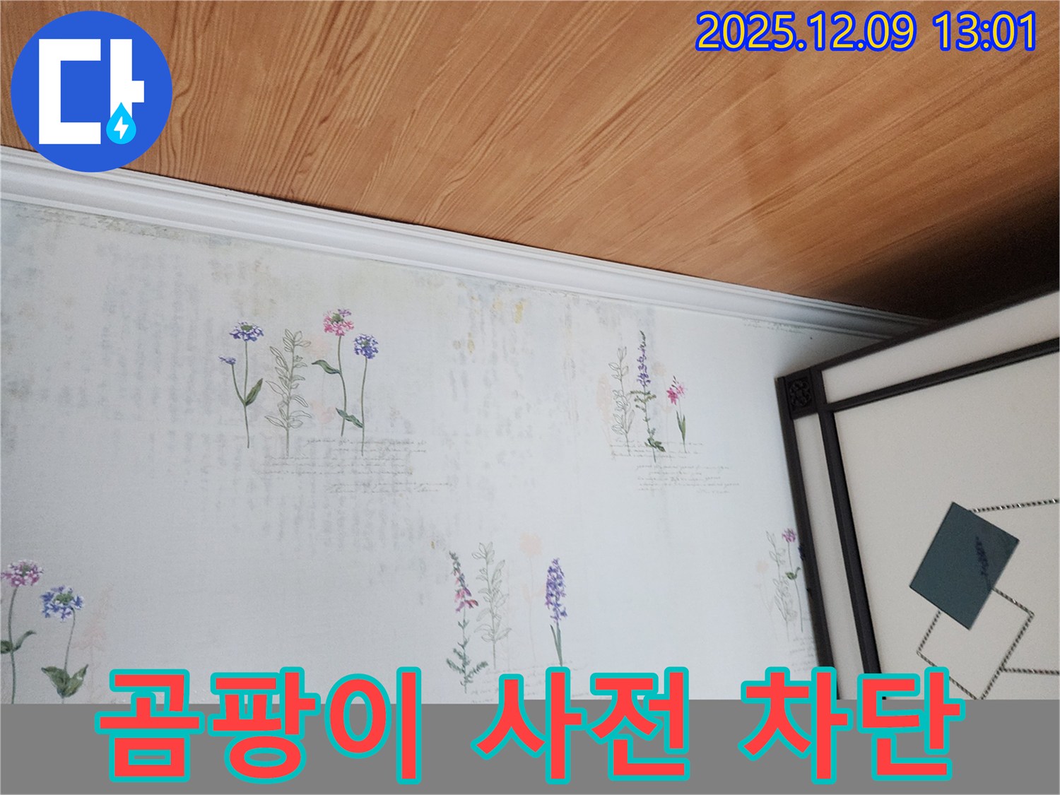 영중면 성동리 누수 현장 - 곰팡이 습격 5분 전 사전 차단 성공