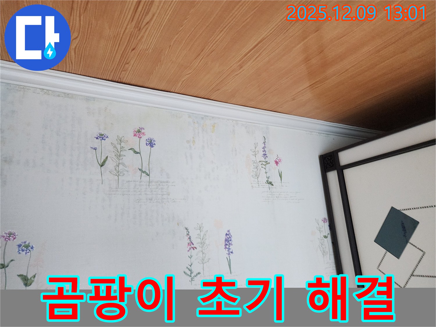 영중면 성동리 누수 현장 - 곰팡이 초기 단계 신속 조치 및 해결