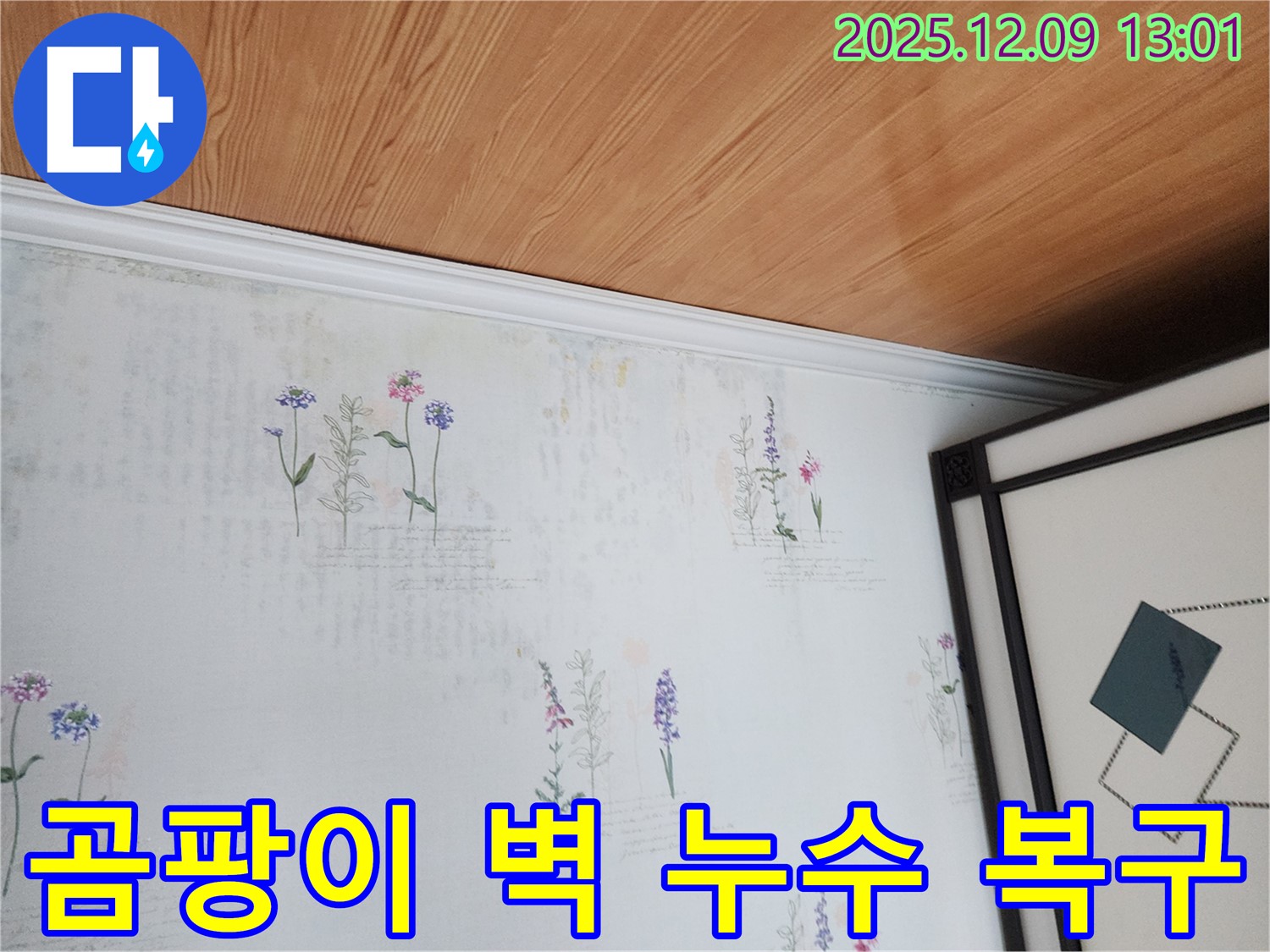 영중면 성동리 누수 현장 - 곰팡이 핀 벽 복구 과정 상세 사진