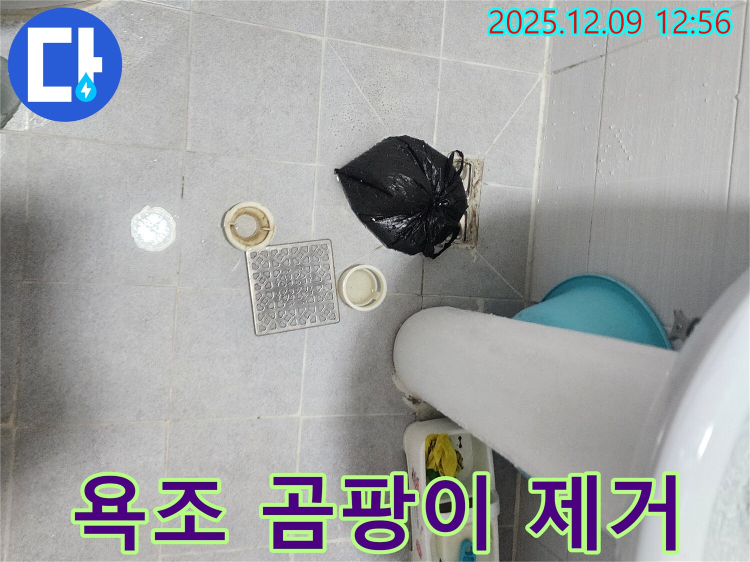 영중면 성동리 욕조 배수구 악취 - 곰팡이 제거로 쾌적한 욕실 만들기