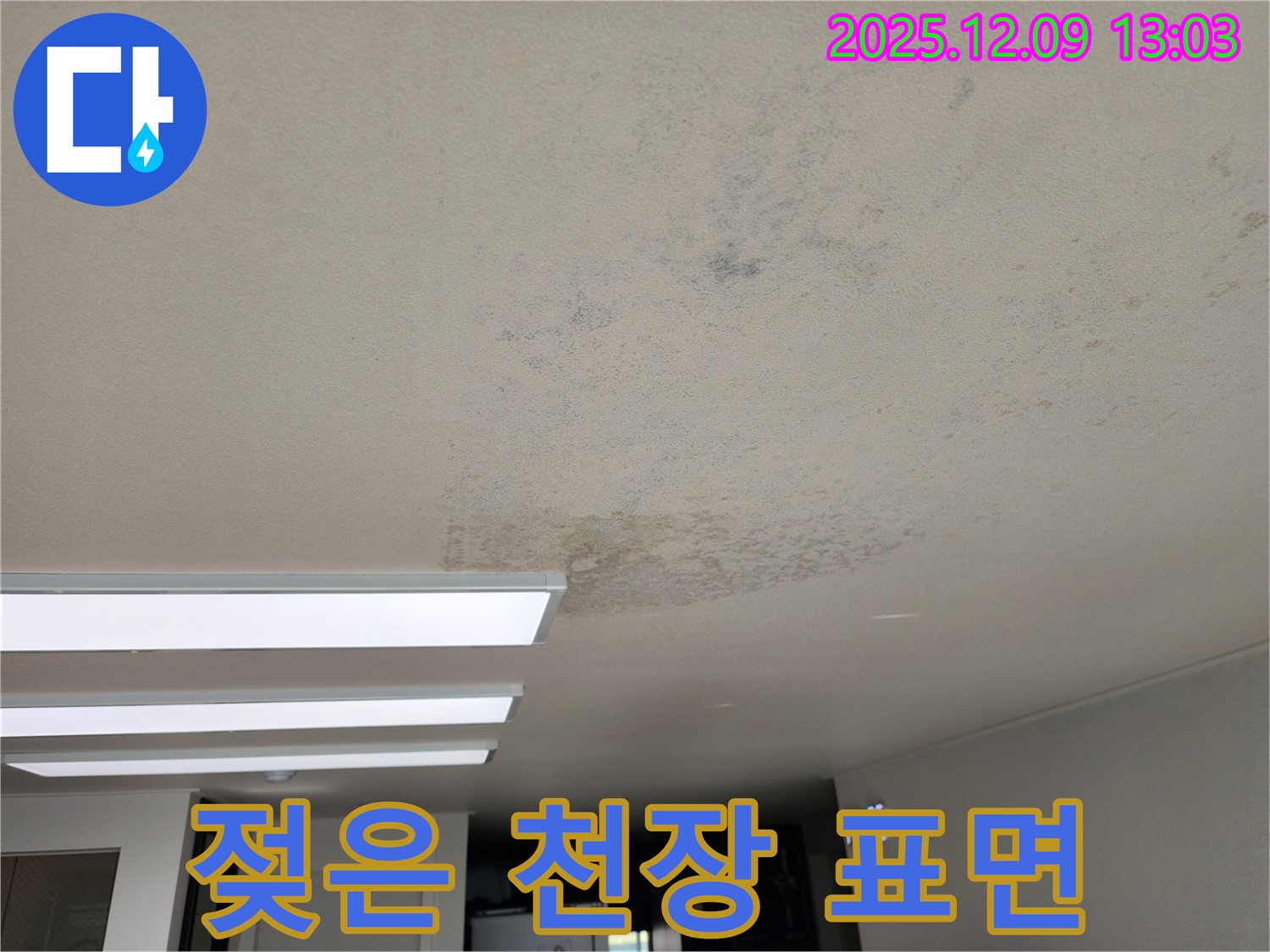영중면 성동리 천장 누수 - 젖은 천장 표면과 물 자국