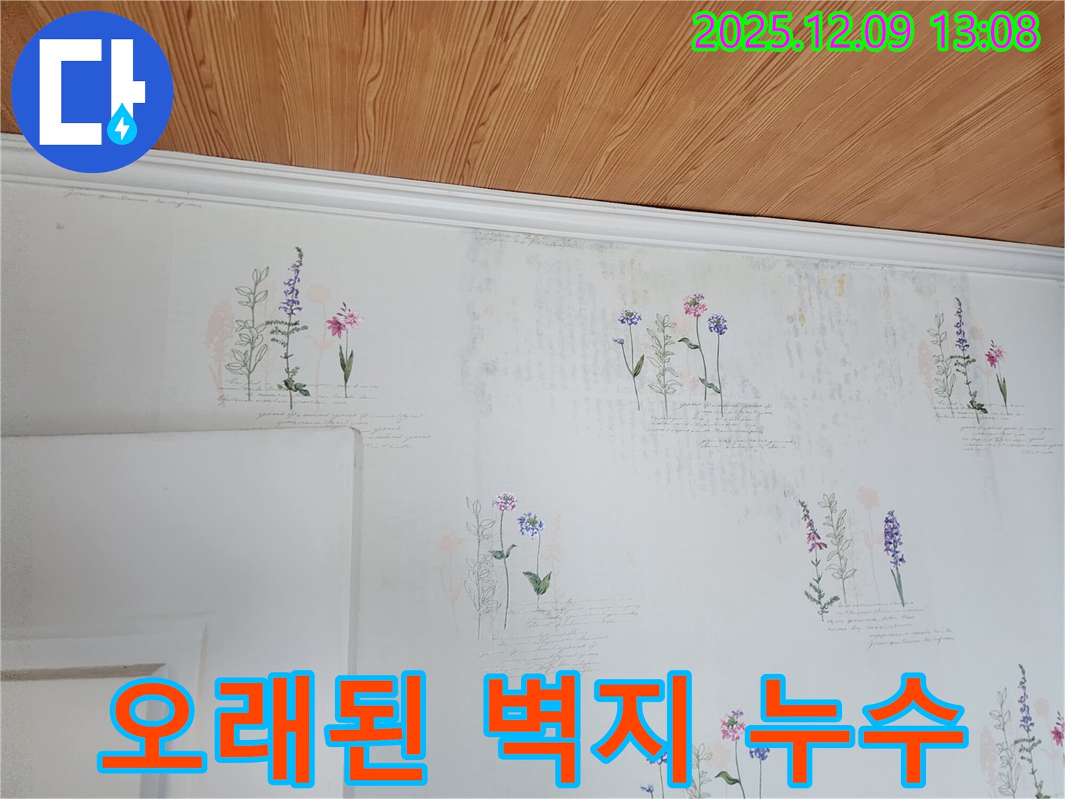 오래된 벽지 - 누수 위험 - 사전 진단