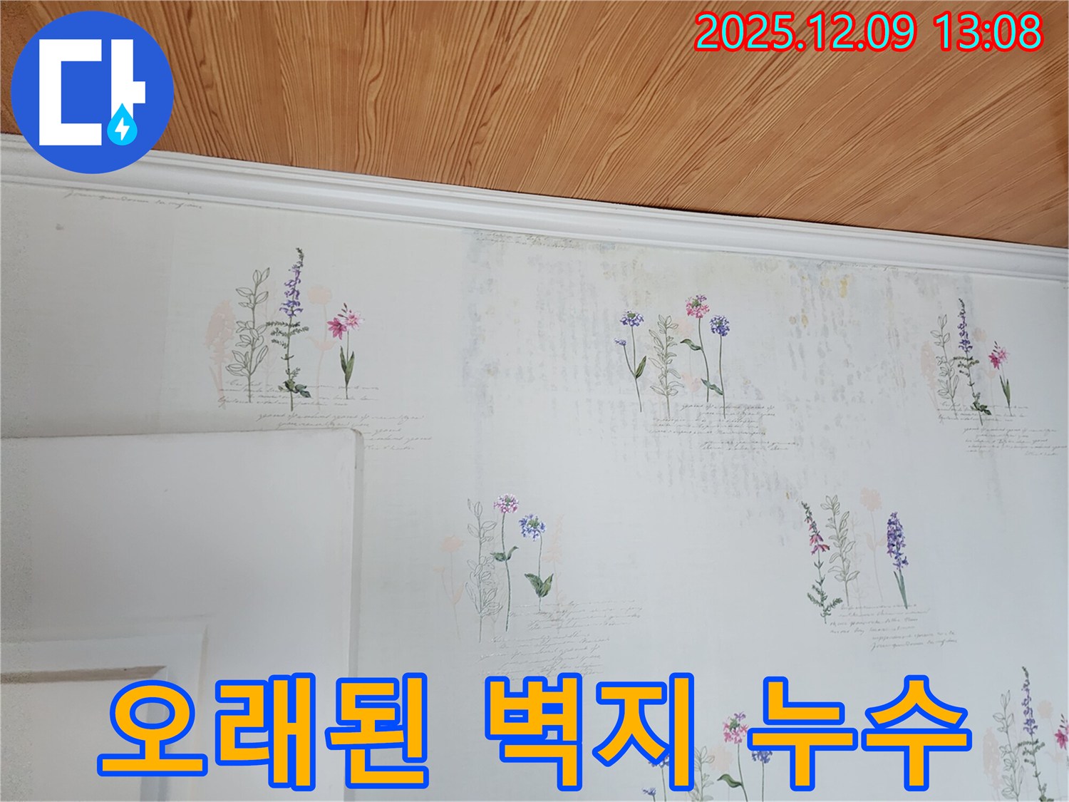 오래된 벽지 - 누수 위험 - 사전 진단