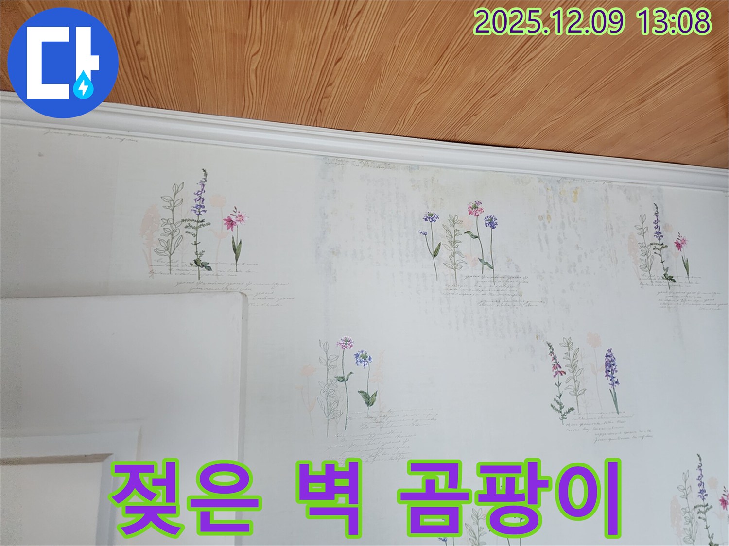 젖은 벽 - 곰팡이 흔적 - 누수 의심
