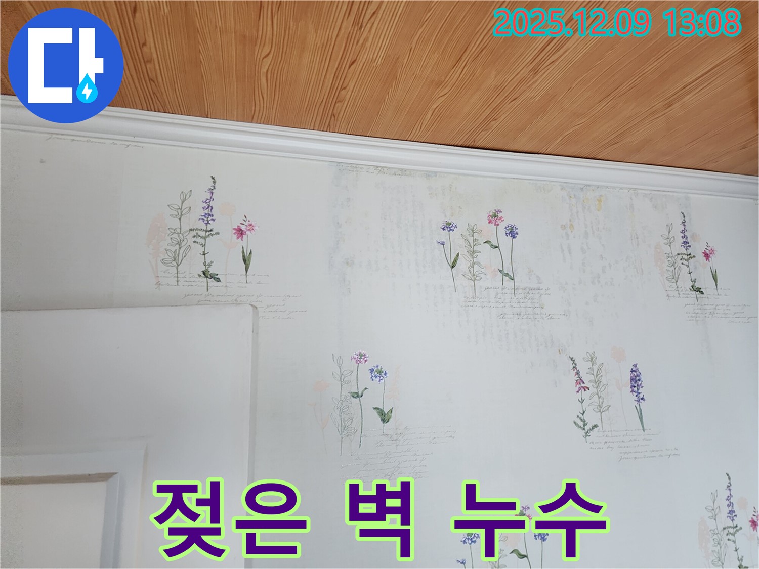 젖은 벽 - 누수 의심 - 빠른 진단