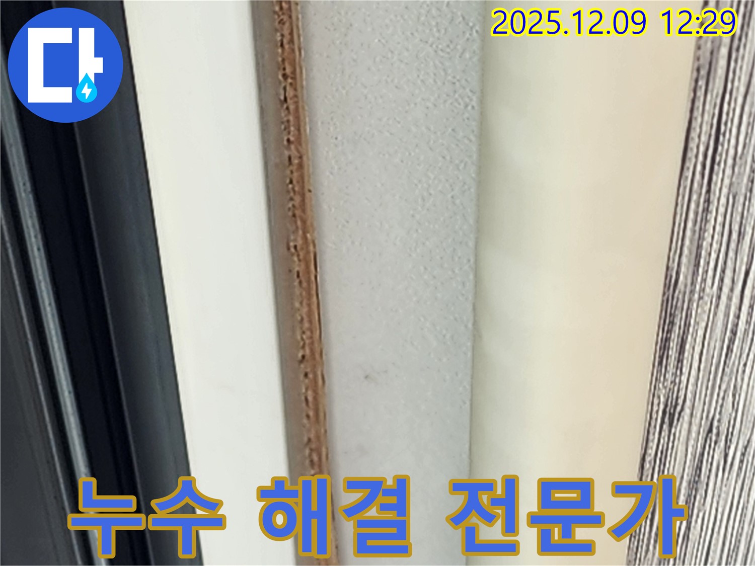 창틀 곰팡이 - 누수 해결 전문가에게 맡기세요.