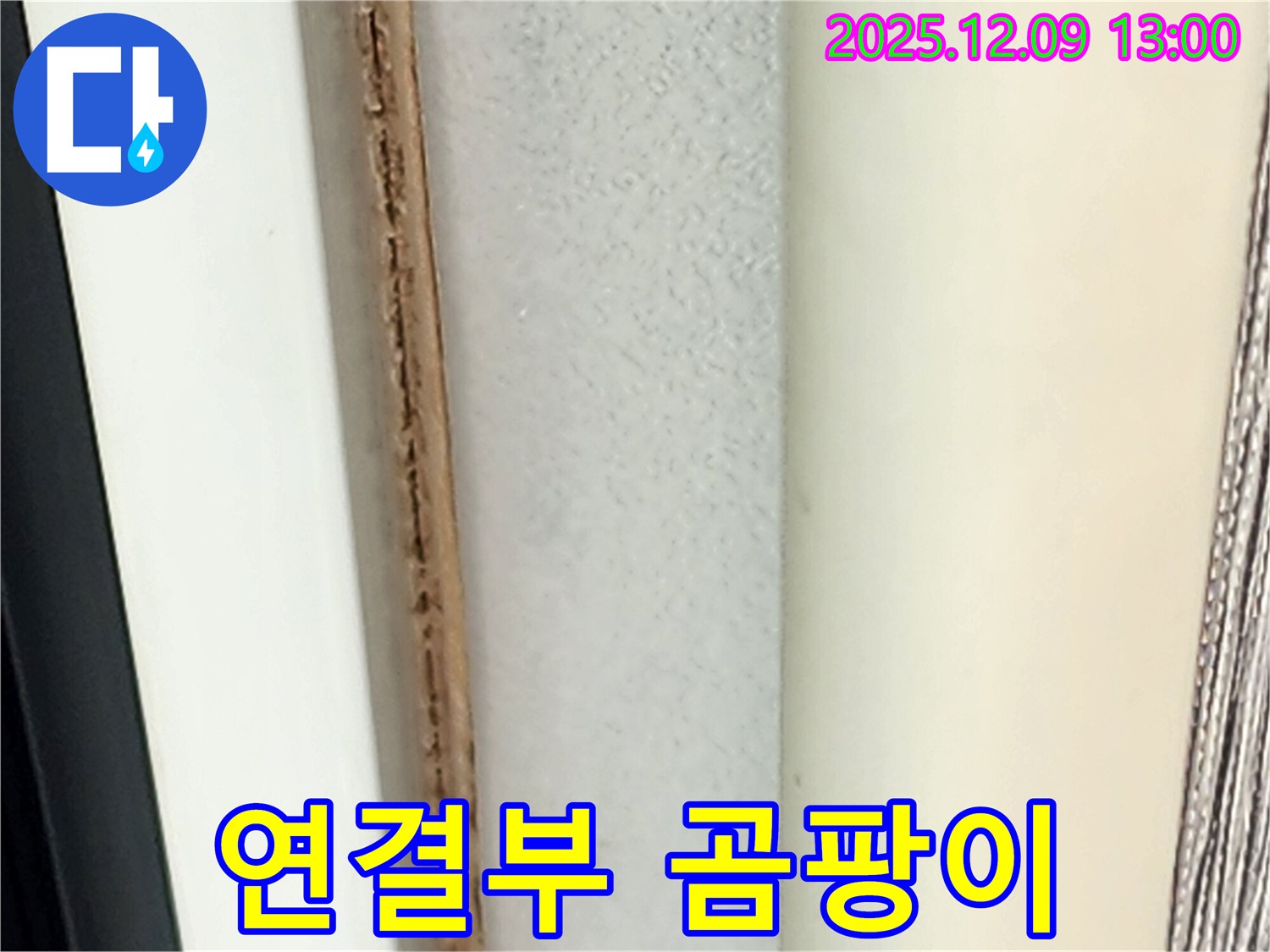 창틀 연결부 곰팡이 - 습기 누적의 증거입니다.