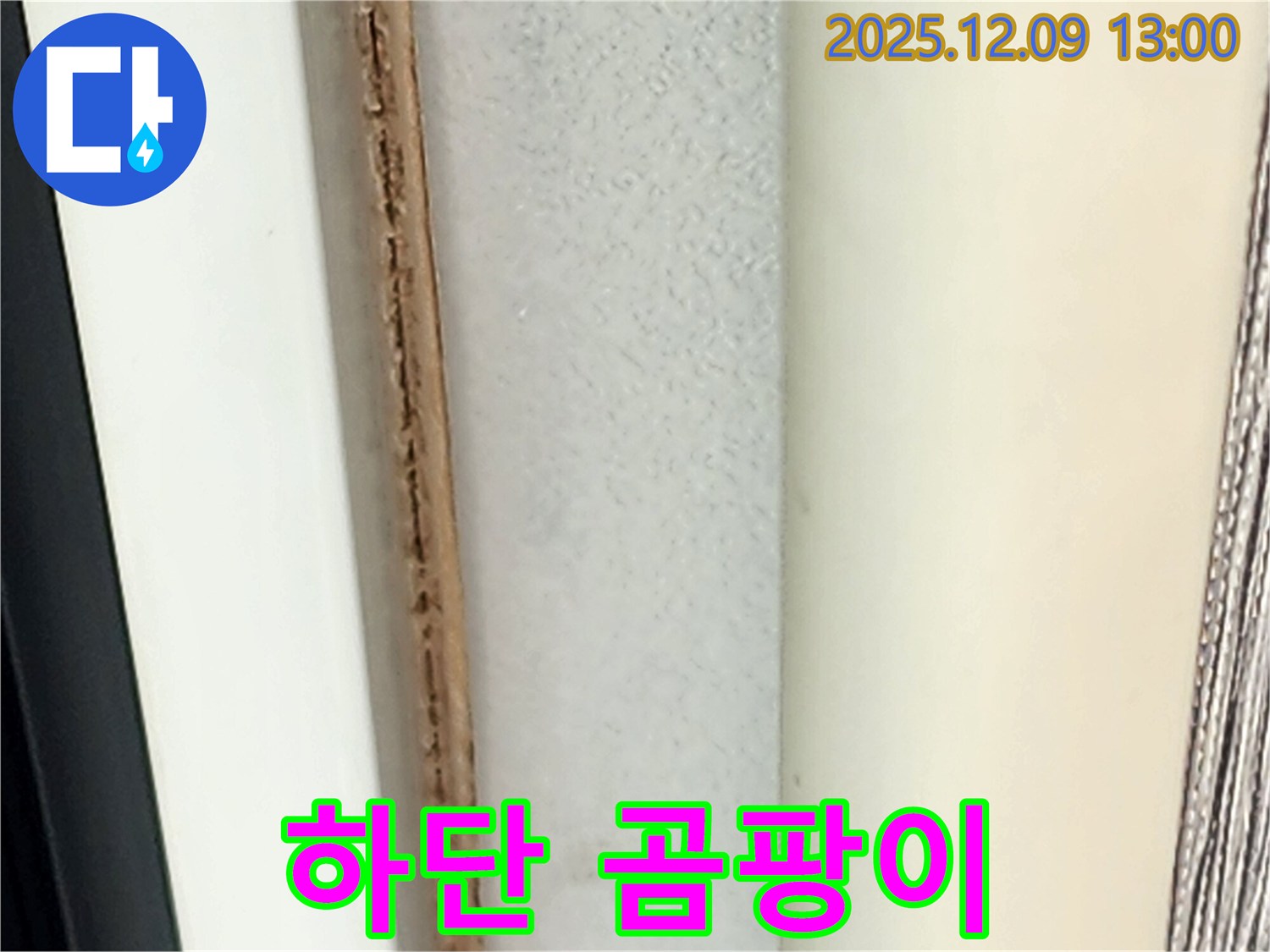 창틀 하단 곰팡이 - 누수가 지속되고 있습니다.