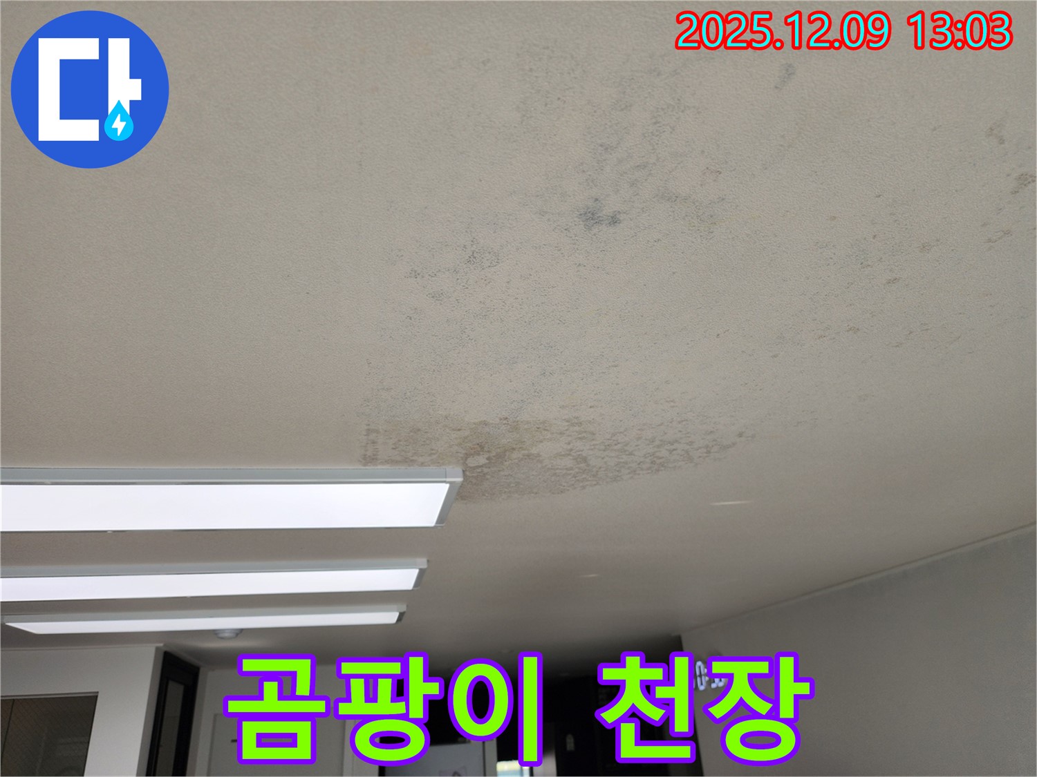 포천 영중면 - 곰팡이 슬어버린 천장