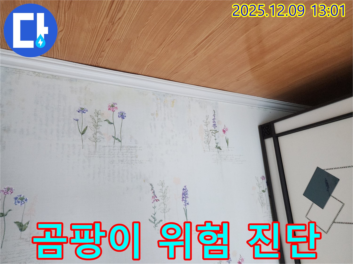 포천 영중면 누수 현장 - 곰팡이 발생 위험 꼼꼼하게 진단
