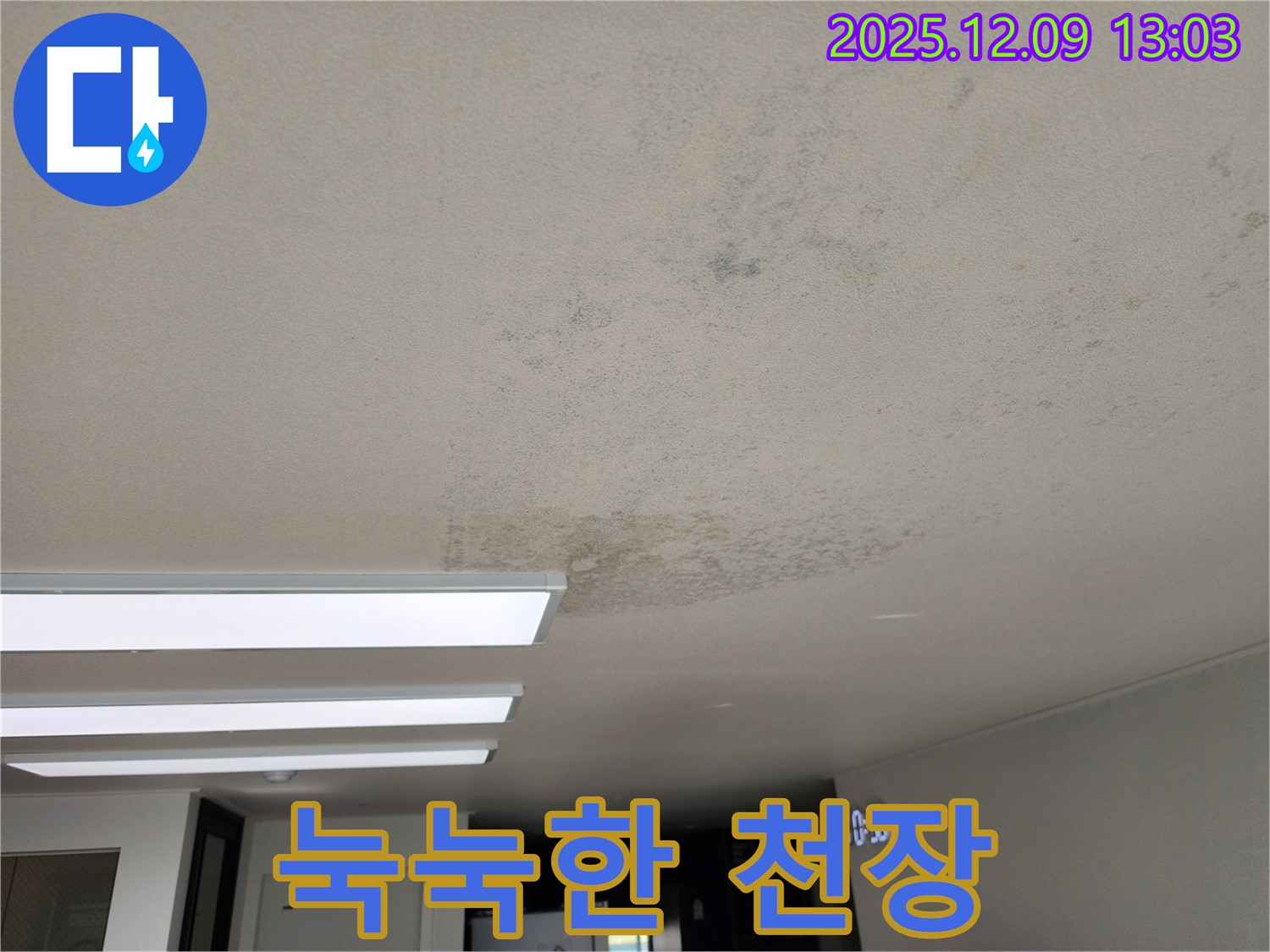 포천 영중면 성동리 - 눅눅한 천장 습기 문제