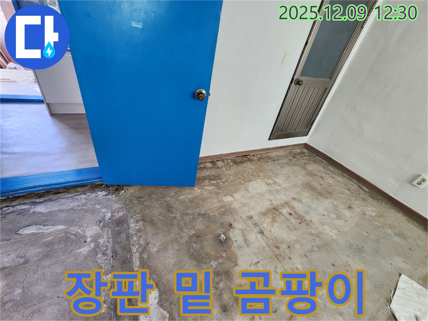 포천 영중면 장판 밑 곰팡이 누수 - 곰팡이 제거 및 누수 해결