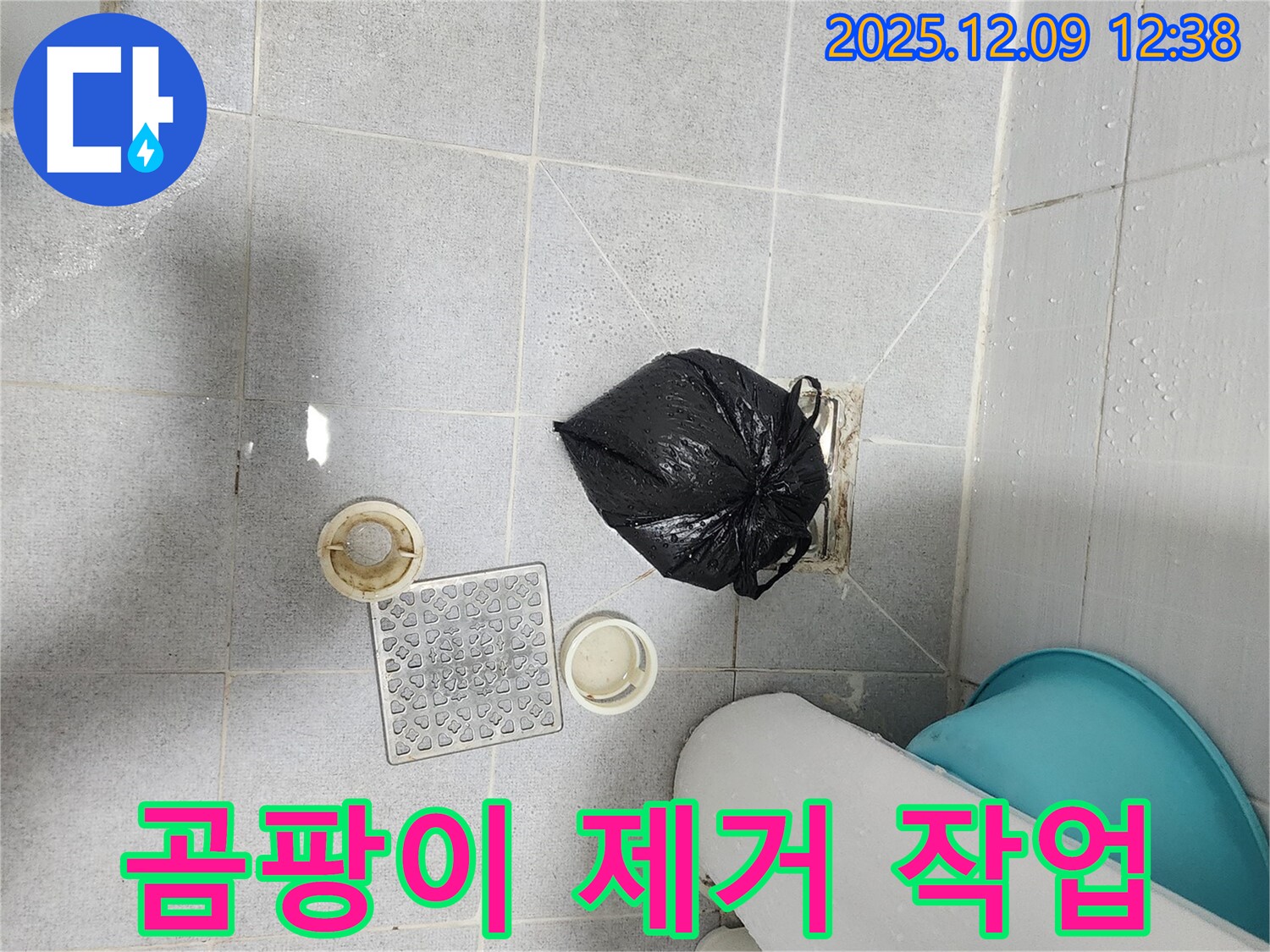 포천 - 욕실 배수구 주변 곰팡이 깨끗하게 제거 작업