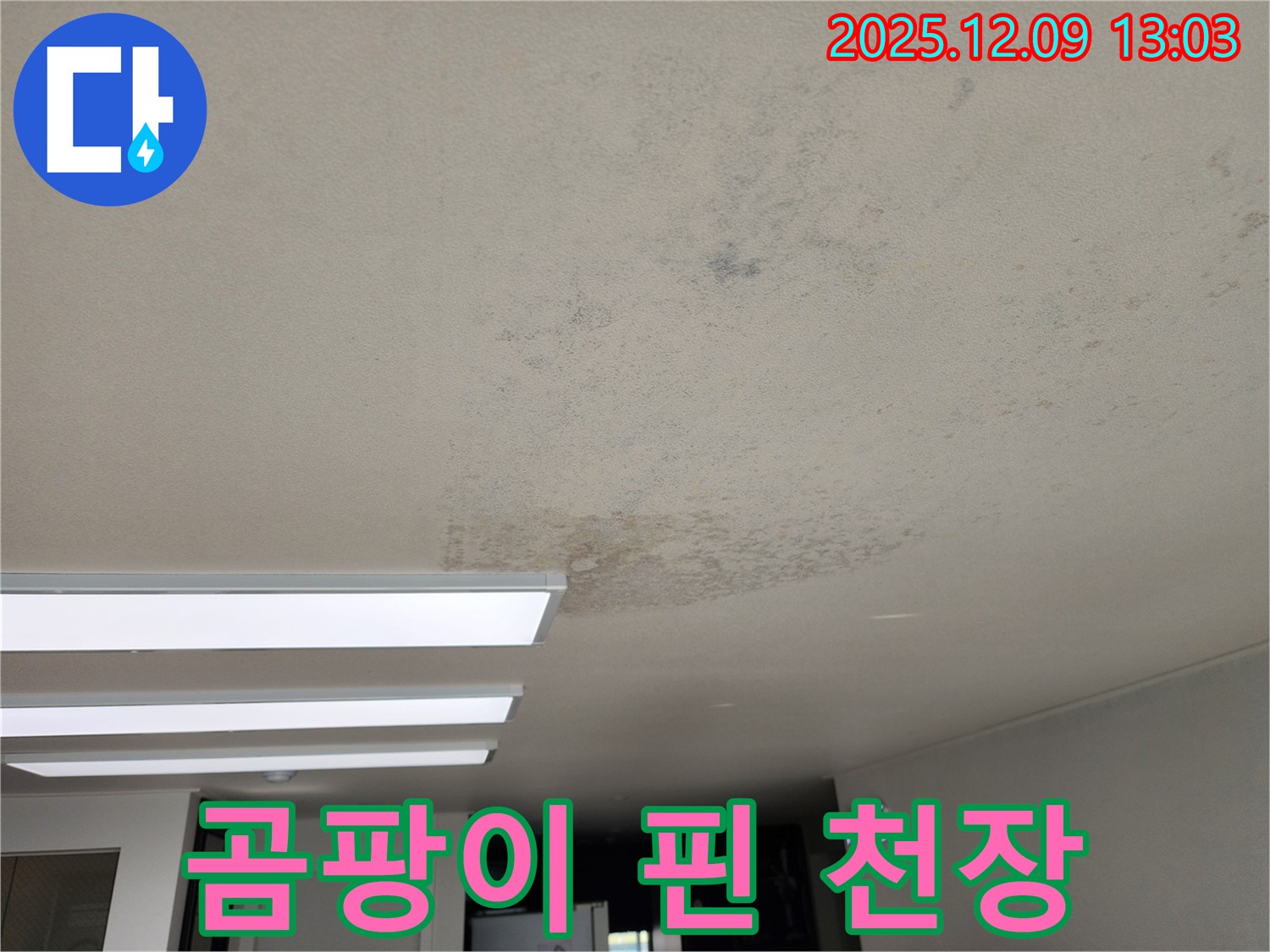 포천시 영중면 성동리 - 곰팡이 핀 천장 누수 현장
