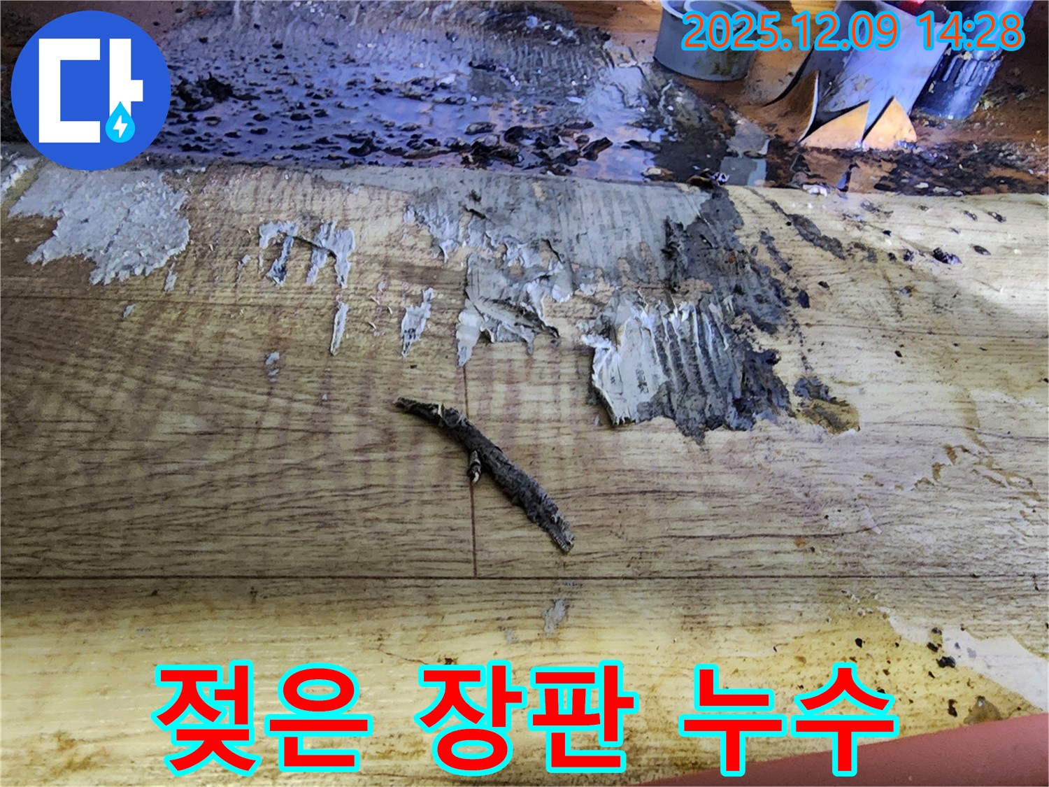 금주리 누수 해결 - 젖은 장판과 곰팡이 냄새, 누수 확진