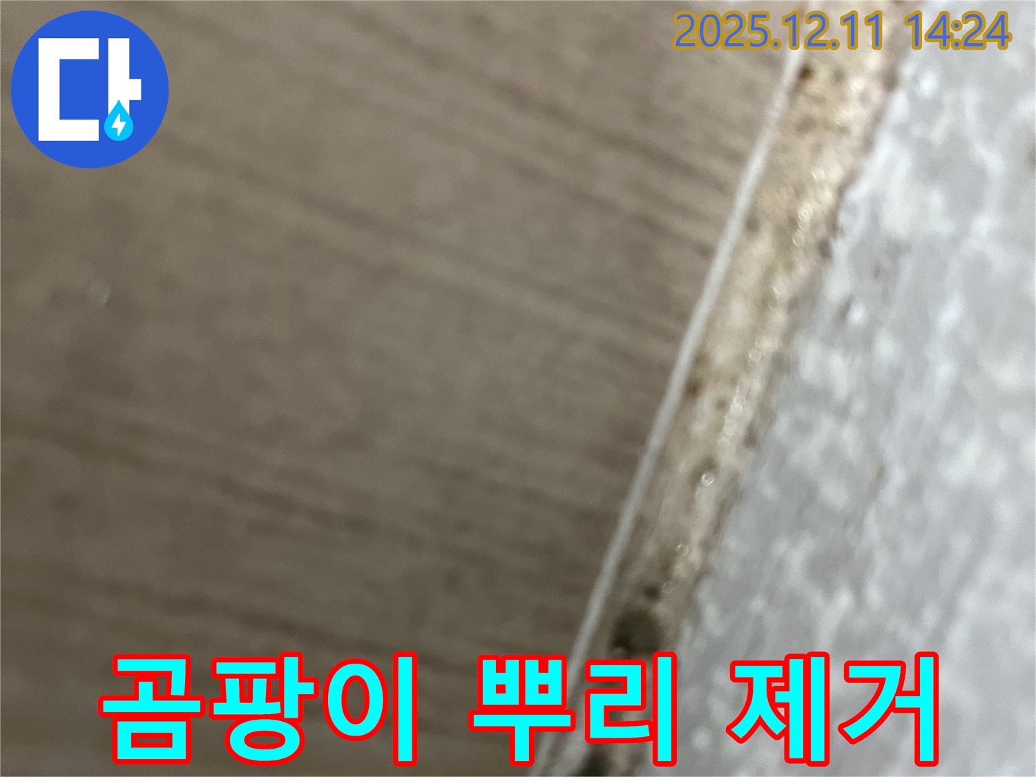 성산1동 누수탐지 - 곰팡이 뿌리까지 완벽 제거 작업
