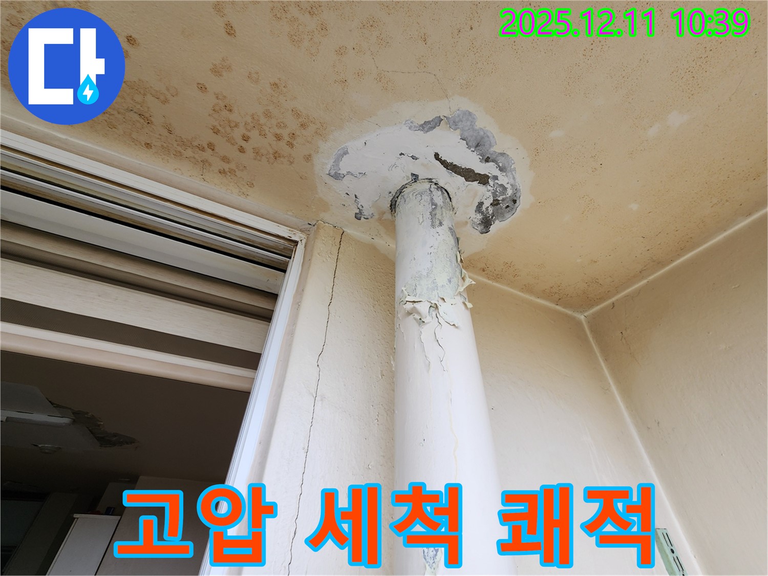 고압 세척 - 곰팡이 완벽 제거 - 포천 쾌적하게