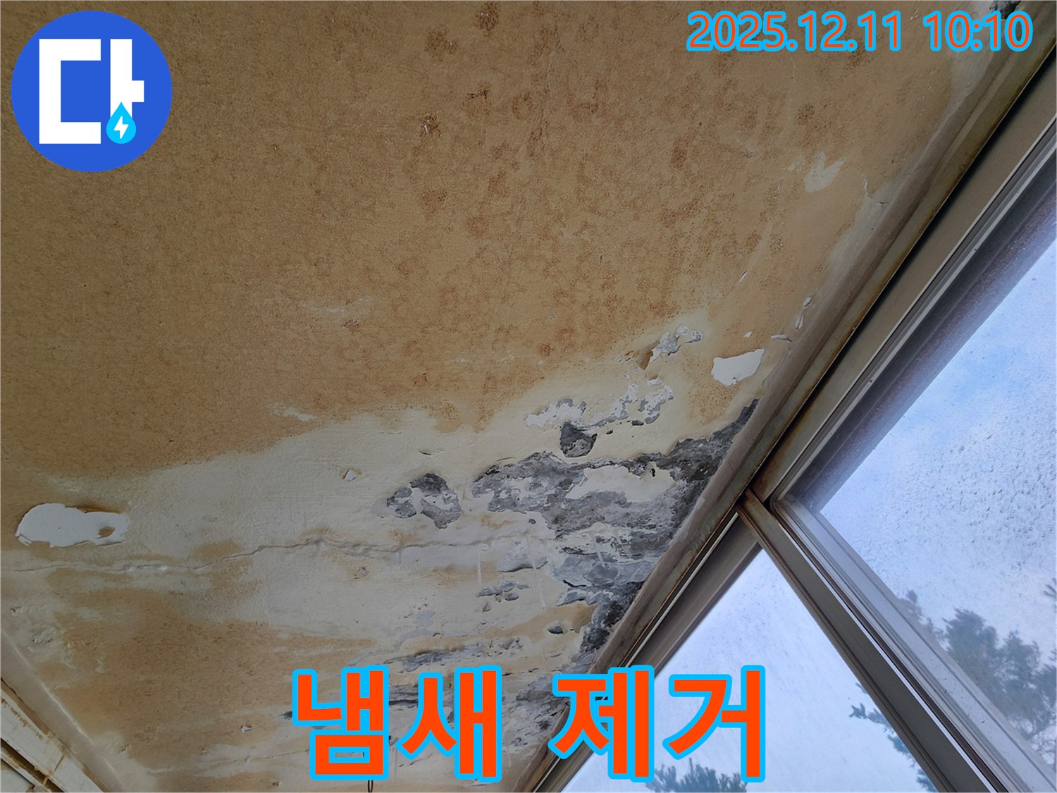 곰팡이 냄새 제거 작업 - 상쾌한 공기
