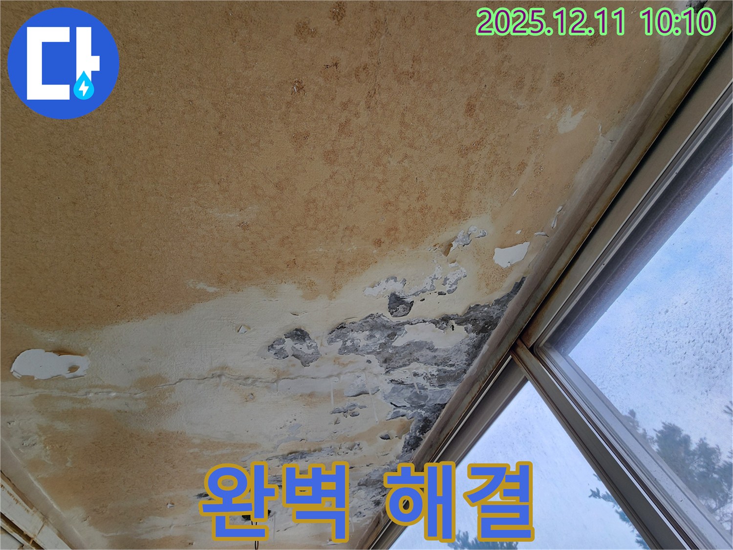곰팡이 냄새 제거 작업 - 완벽 해결